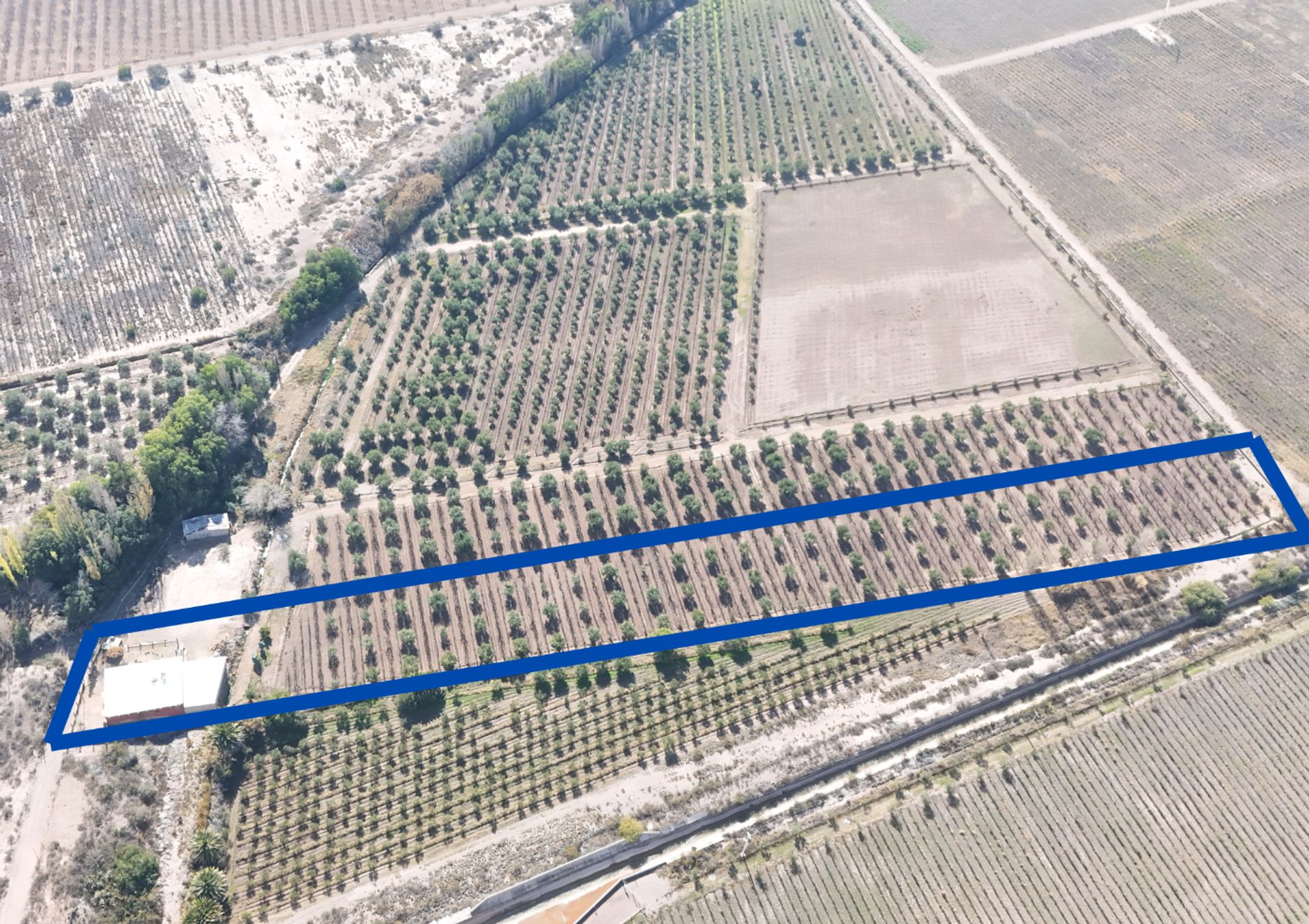 Campo en Venta en Maipu, Mendoza