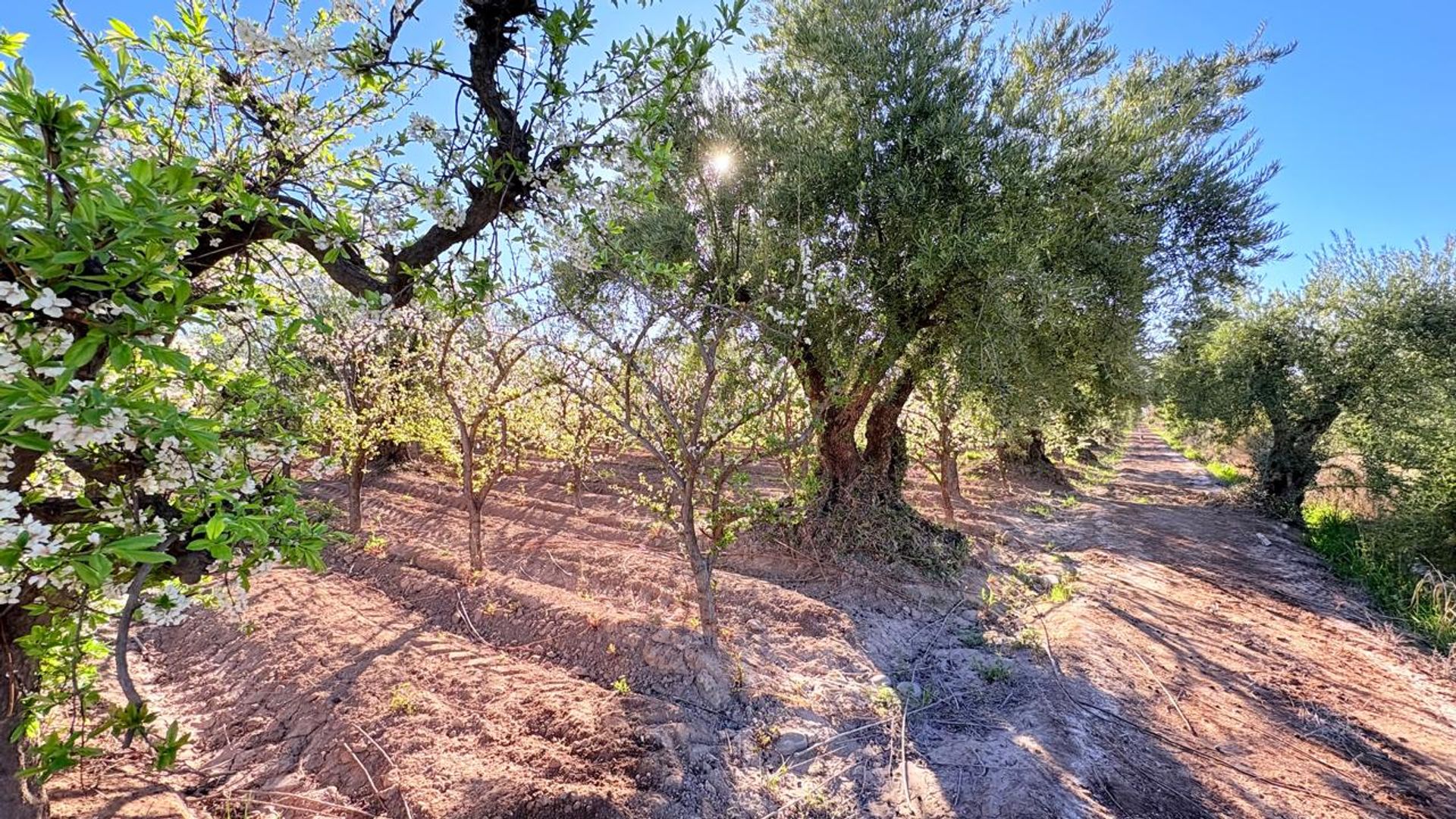 Campo en Venta en Maipu, Mendoza - USD 137.000 | Inmoup - 30