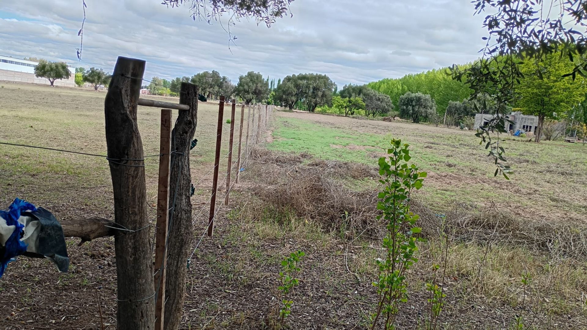 Lote en Venta en General alvear, Mendoza