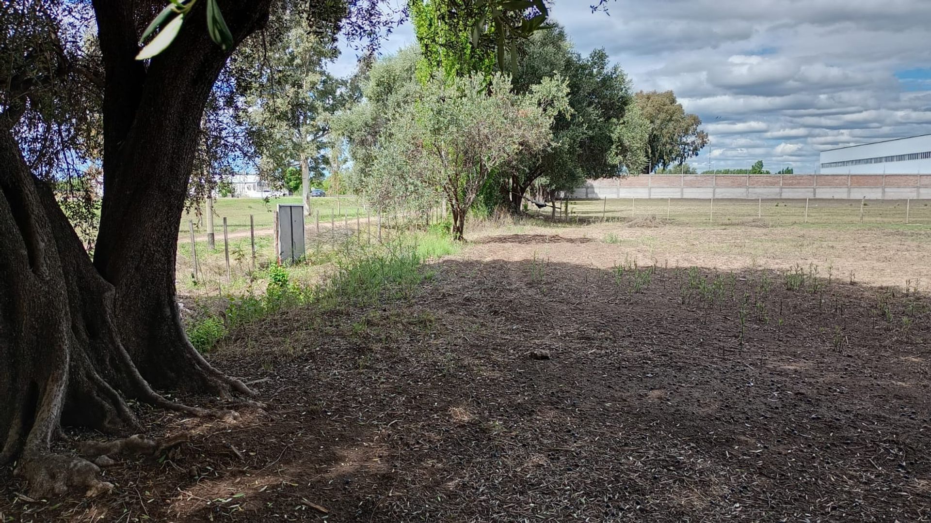 Lote en Venta en General alvear, Mendoza