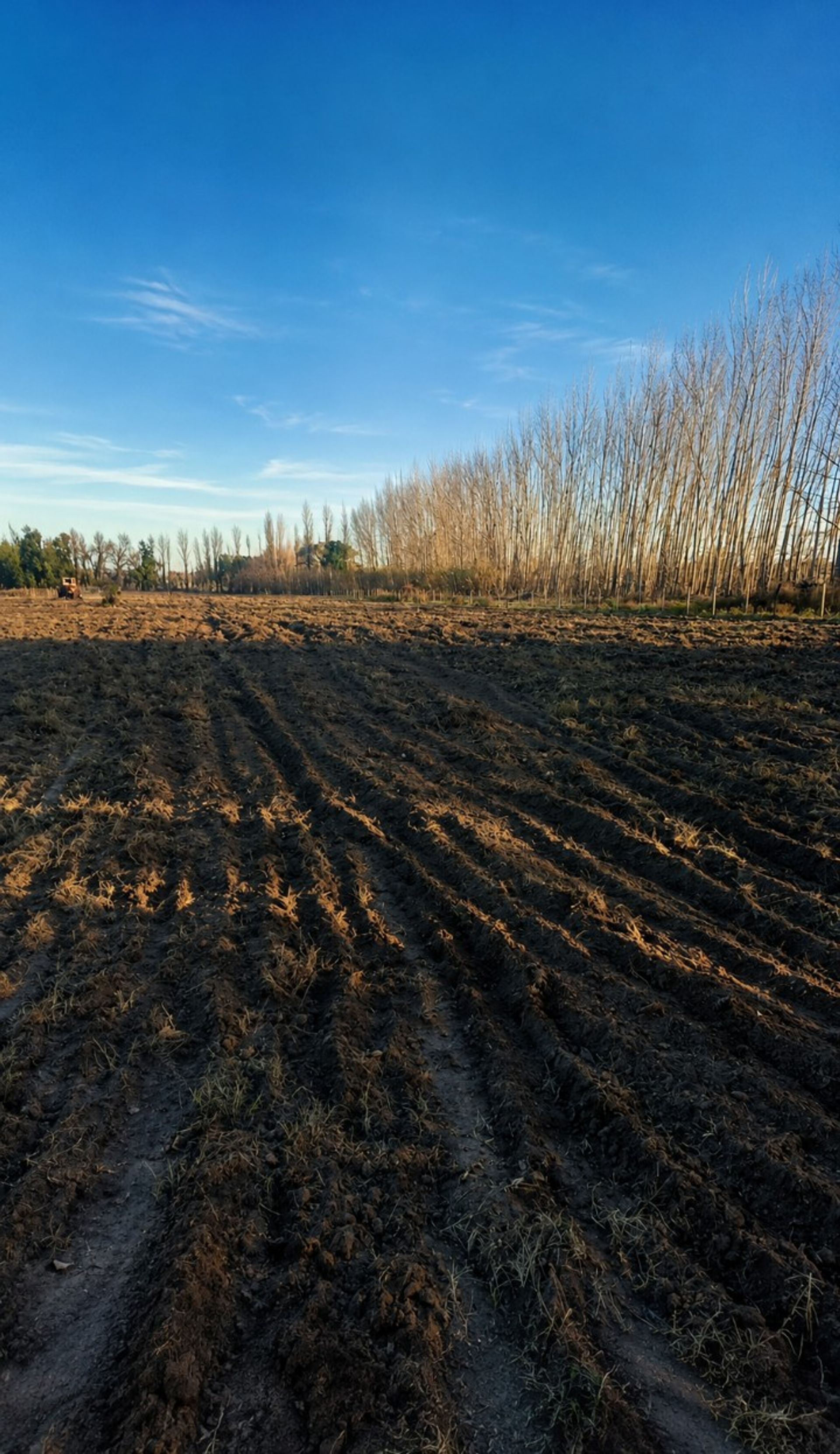 Lote en Venta en General alvear, Mendoza