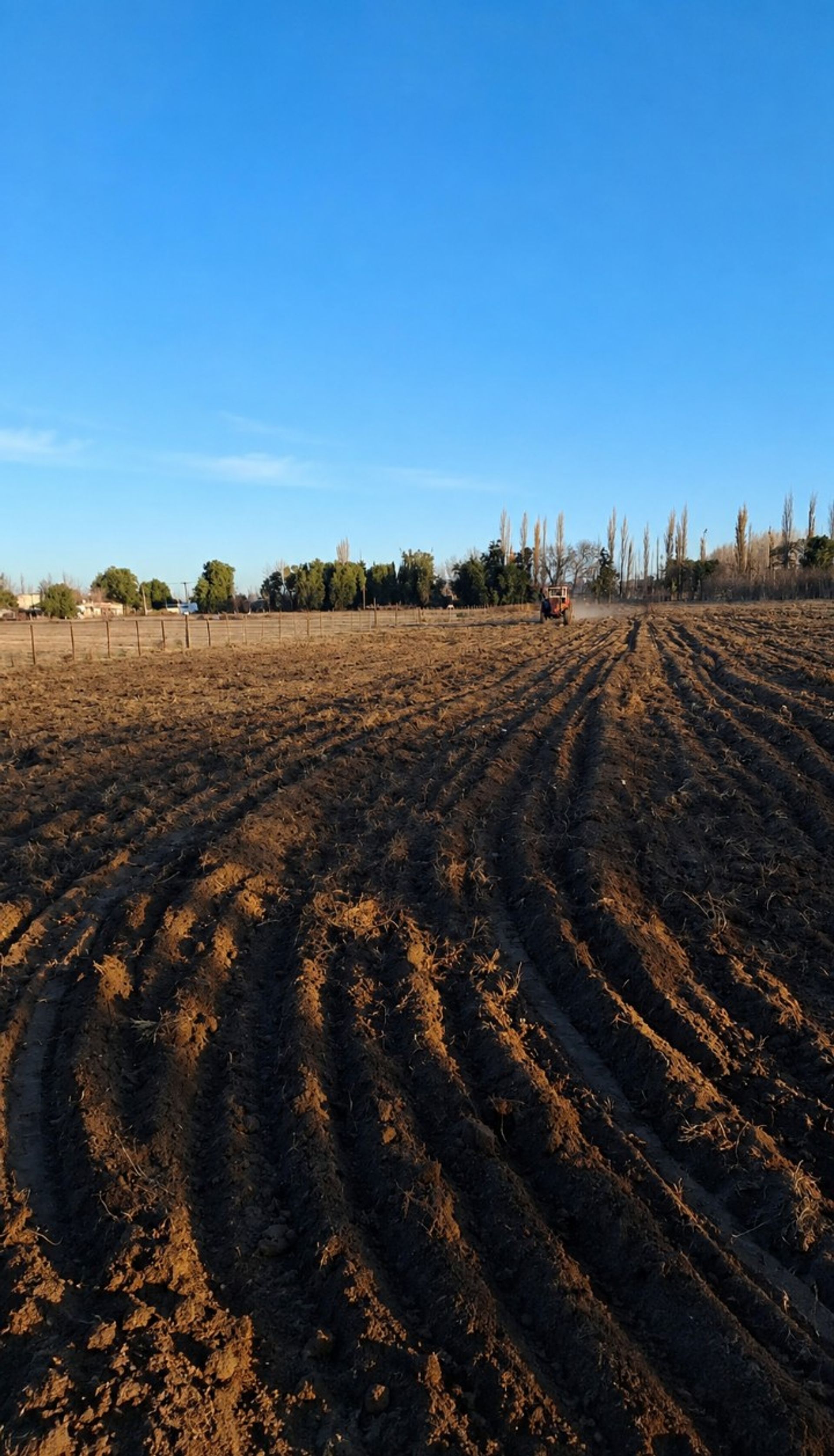 Lote en Venta en General alvear, Mendoza