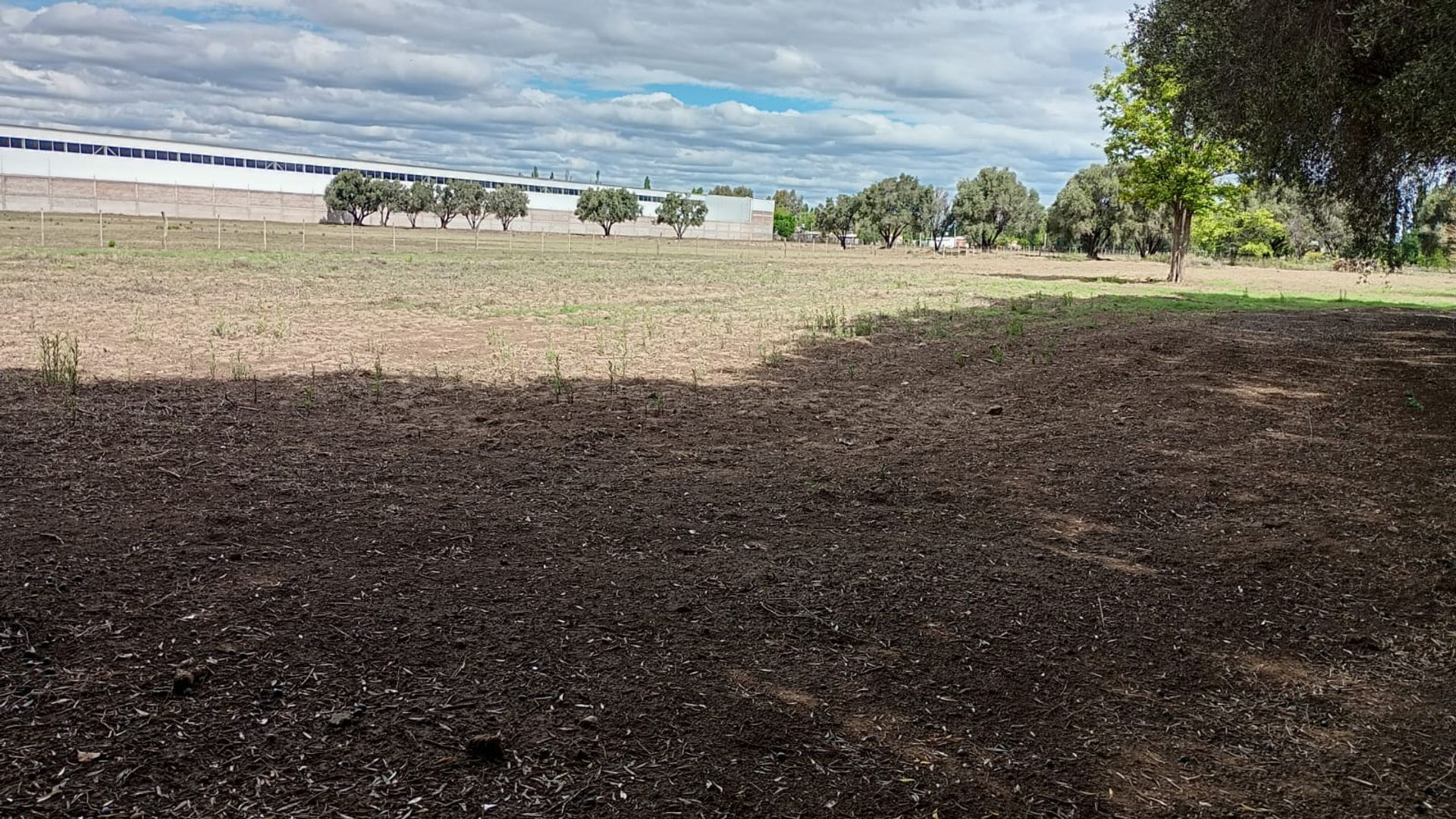 Lote en Venta en General alvear, Mendoza