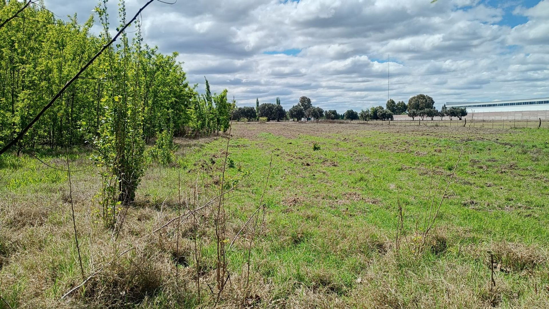 Lote en Venta en General alvear, Mendoza