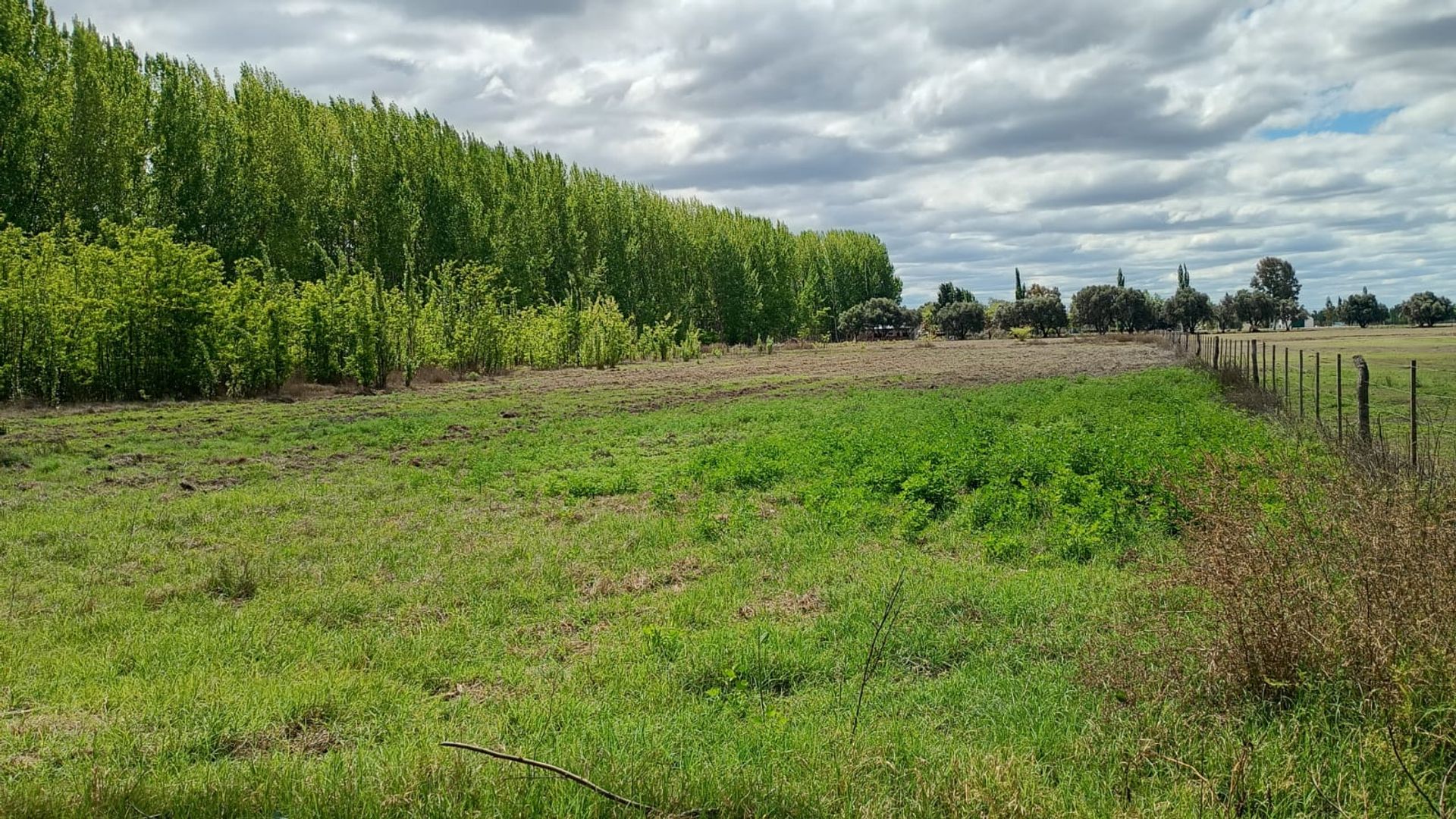 Lote en Venta en General alvear, Mendoza