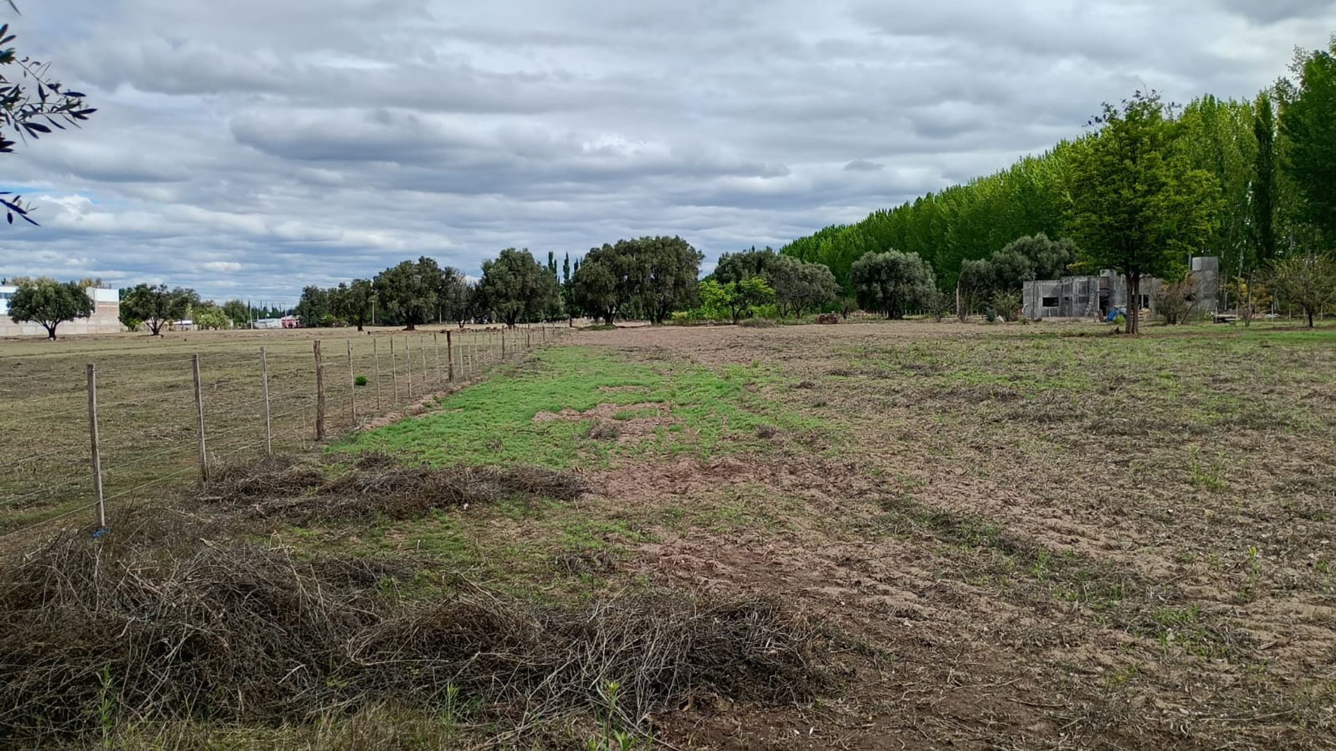 Lote en Venta en General alvear, Mendoza