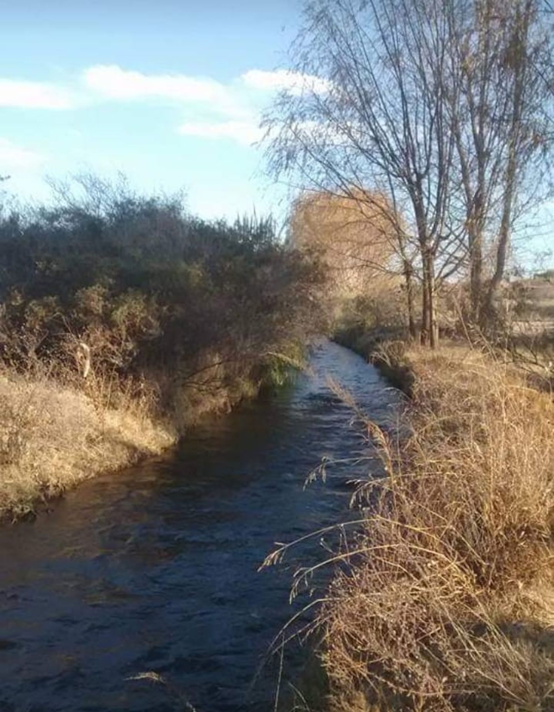 Campo en Venta en San Carlos, Mendoza