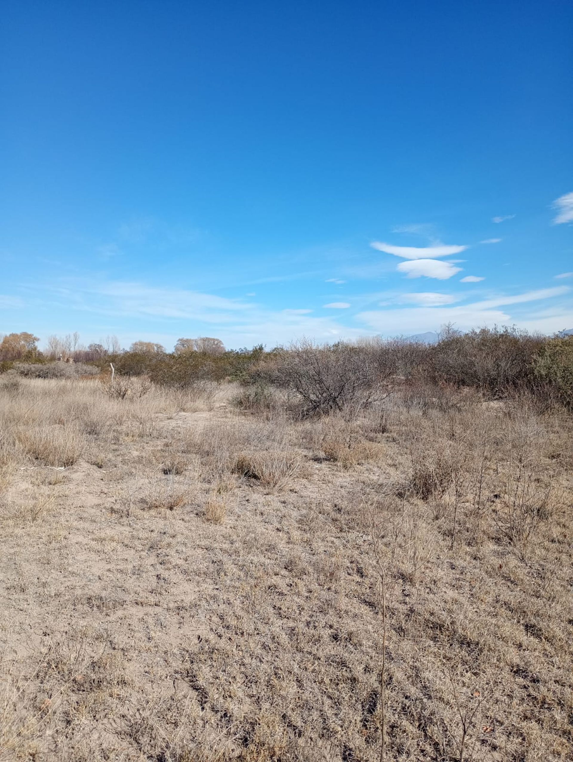 Campo en Venta en San Carlos, Mendoza