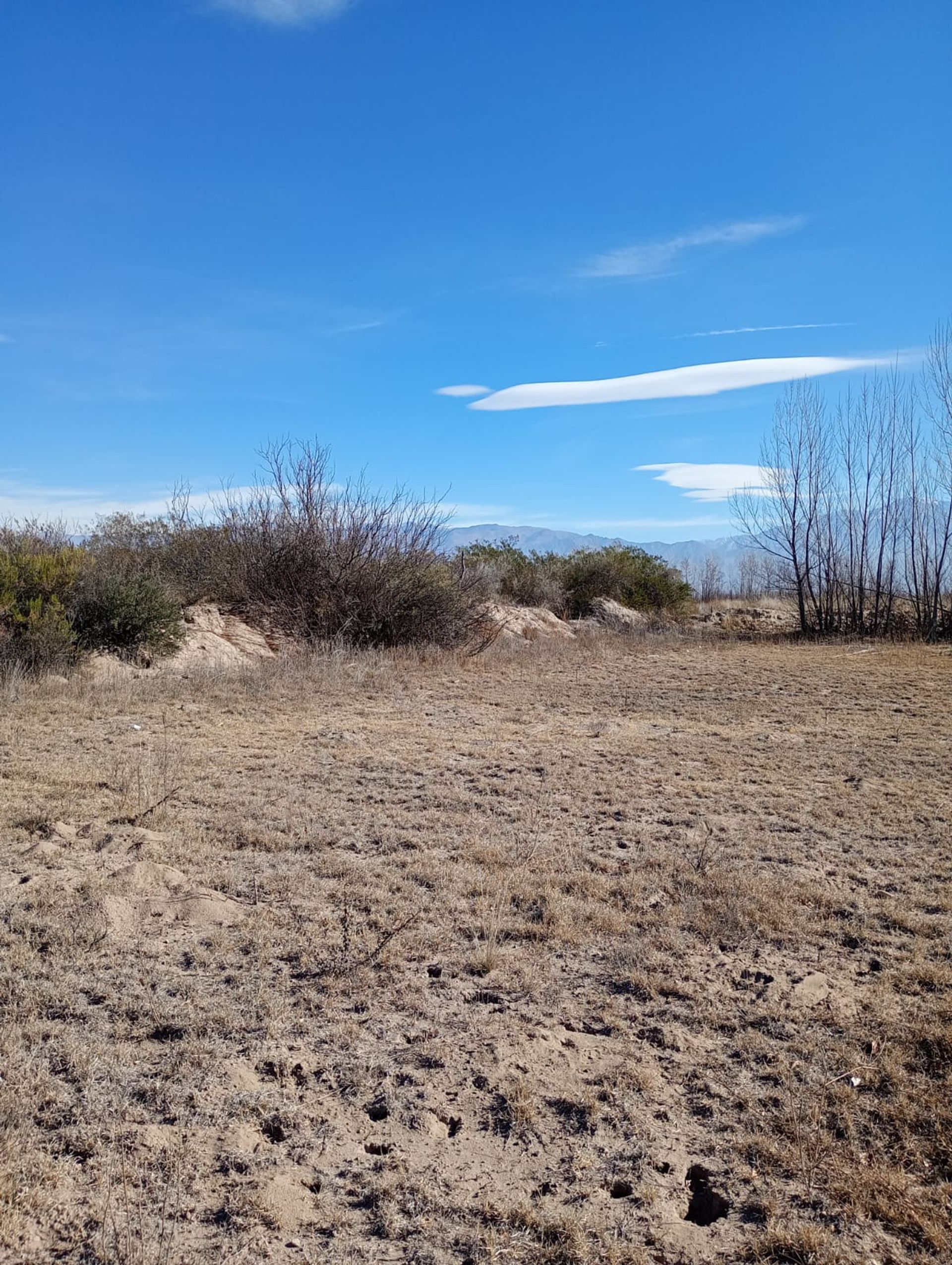 Campo en Venta en San Carlos, Mendoza