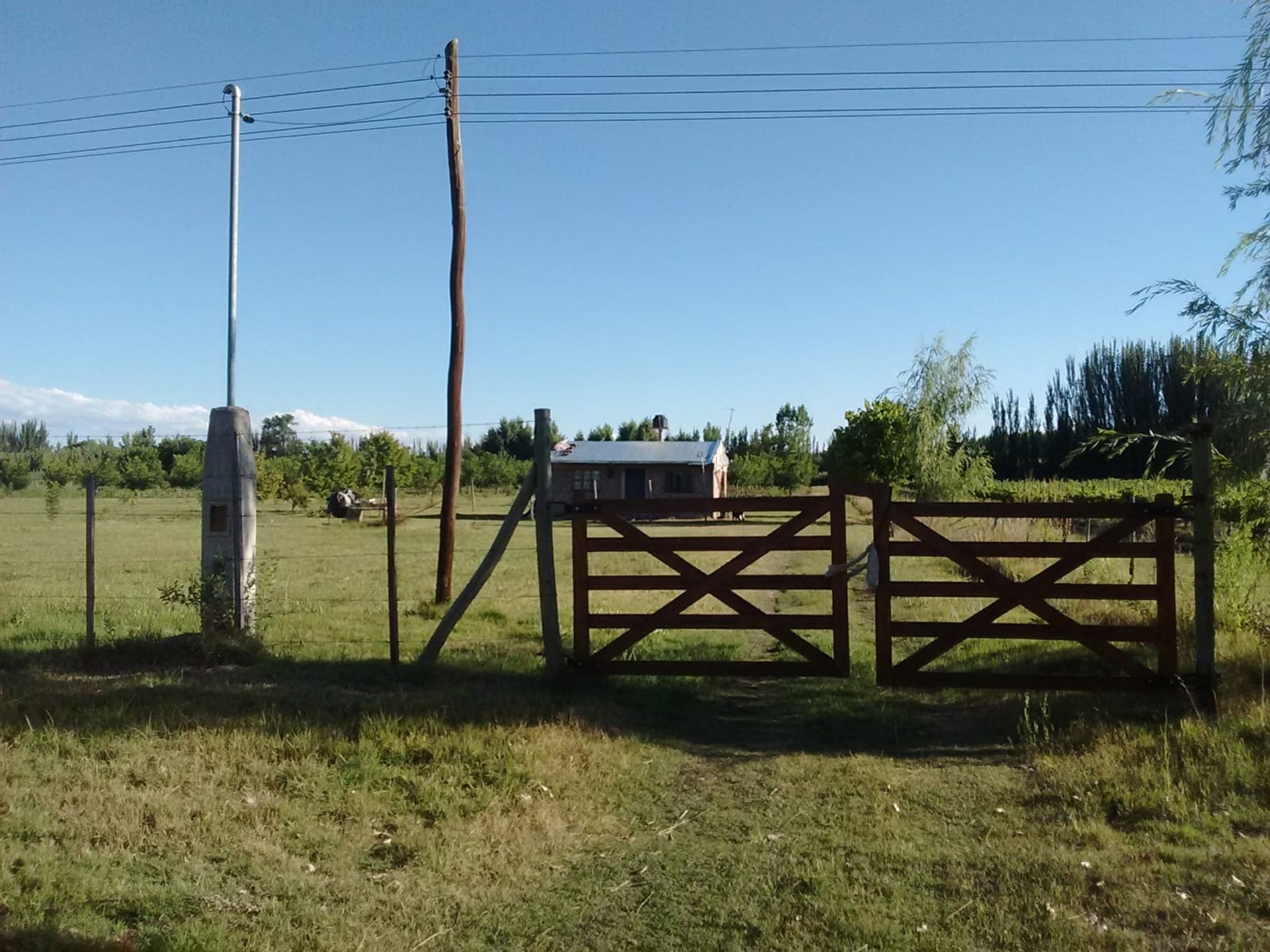 Campo en Venta en Tunuyan, Mendoza