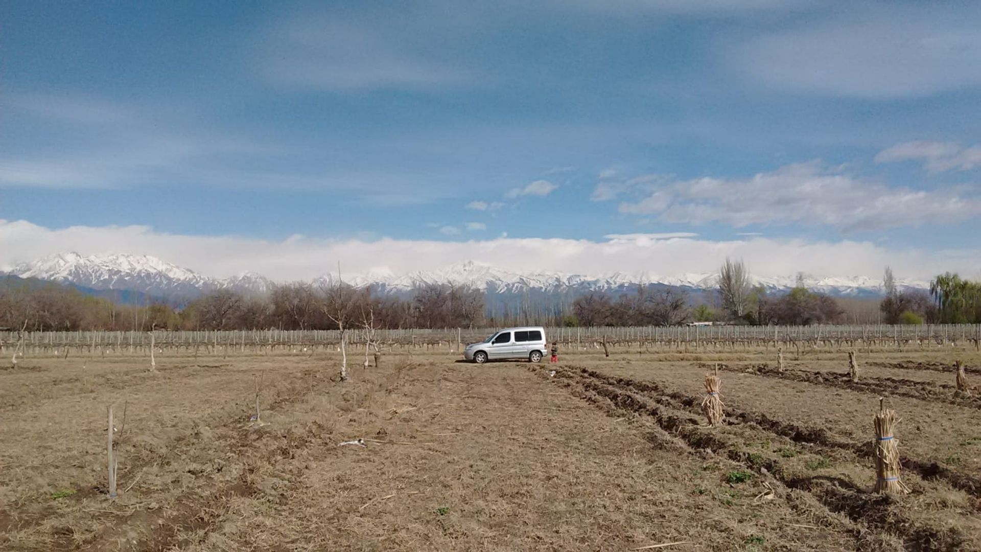 Campo en Venta en Tunuyan, Mendoza