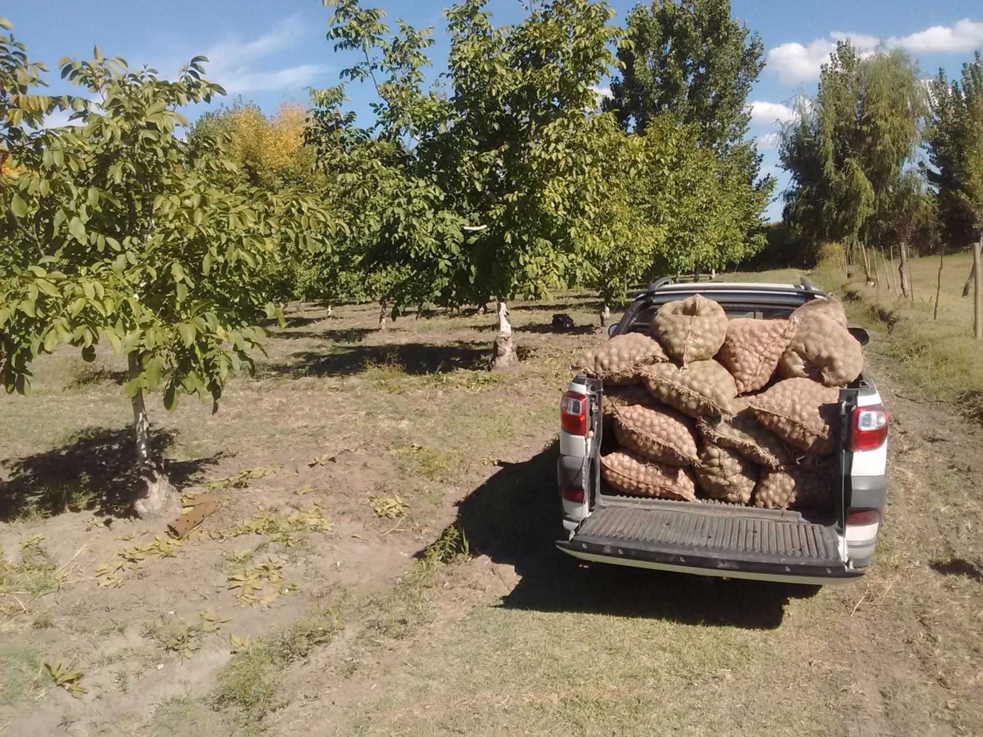 Campo en Venta en Tunuyan, Mendoza