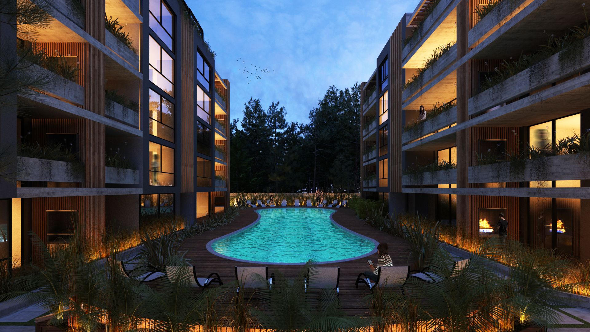 Imagen 12