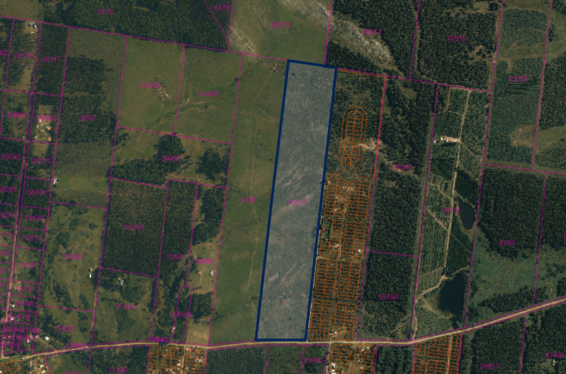 Venta Campo 23,2hás con frente a Ruta 103 Araminda - 3