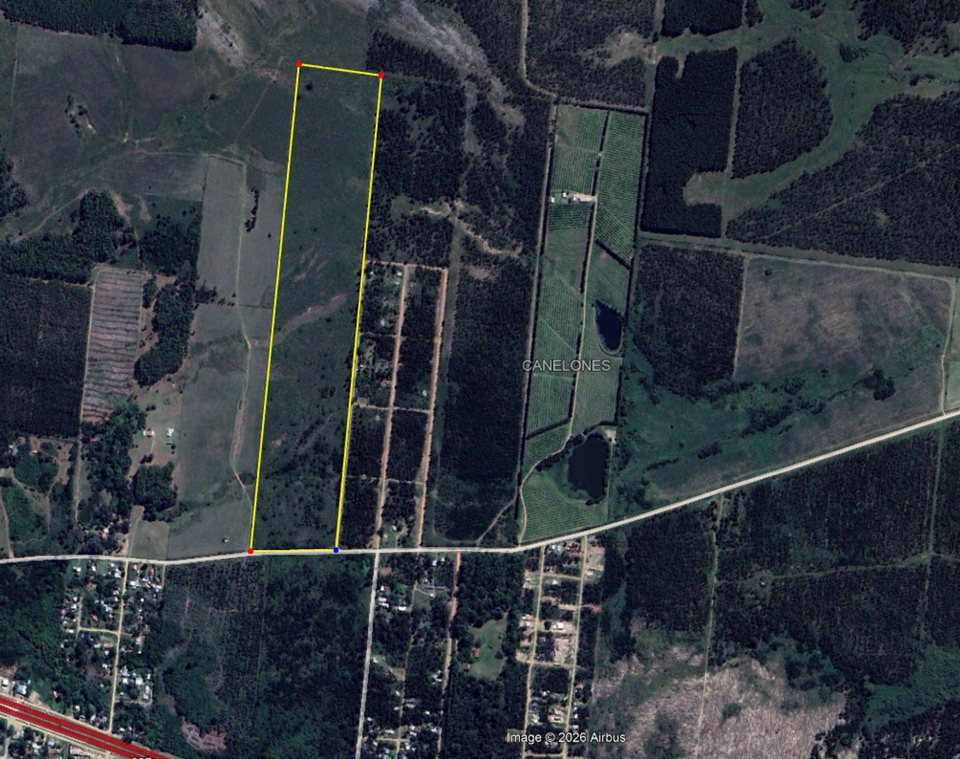 Venta Campo 23,2hás con frente a Ruta 103 Araminda - 2