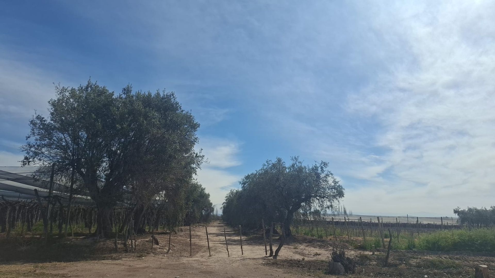 Campo en Venta en Junin, Mendoza