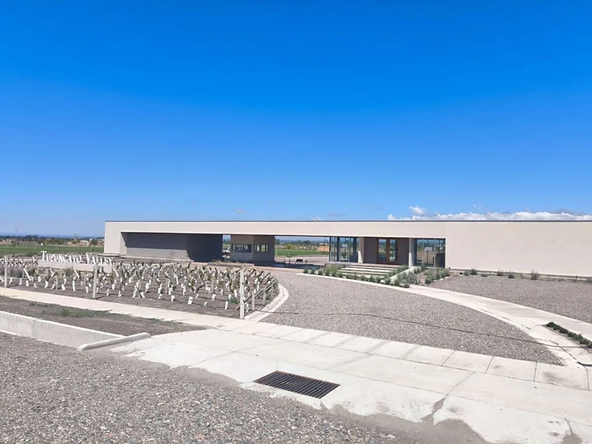Lote en Venta en Tupungato, Mendoza