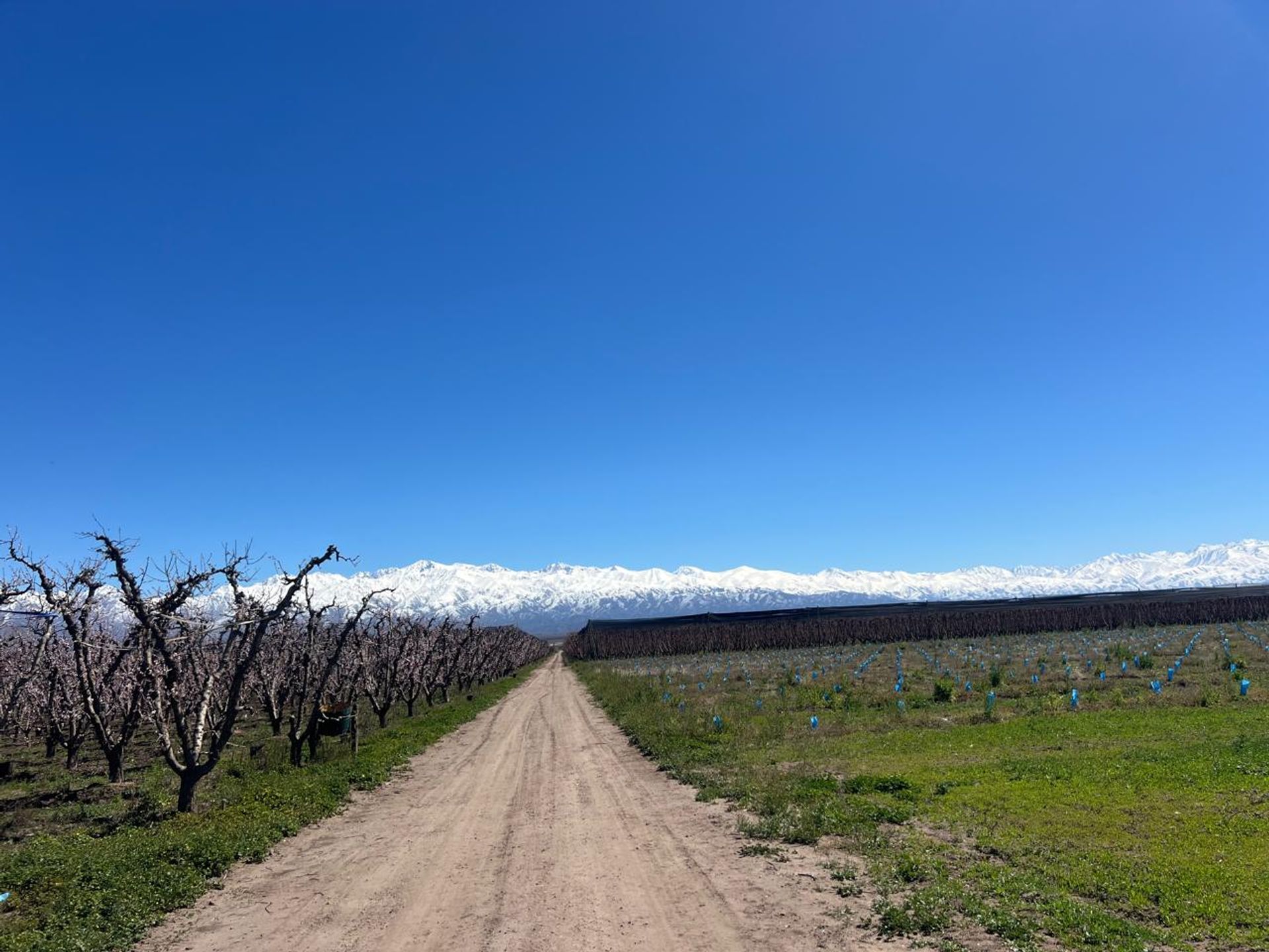 Tunuyan Ruta Provincial 92 0