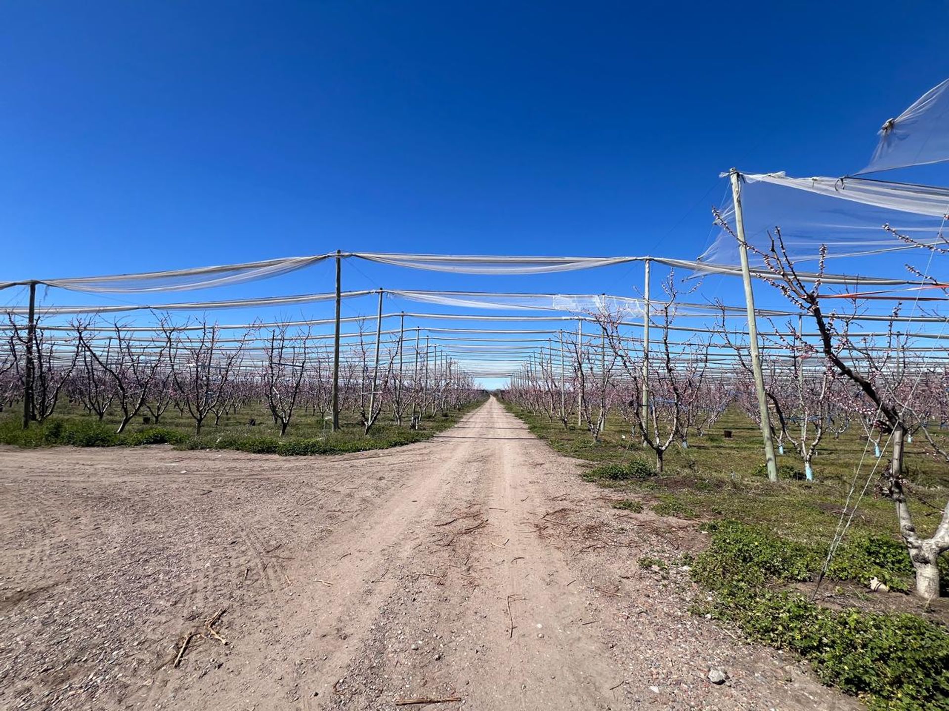 Campo en Venta en Tunuyan, Mendoza - USD 1.000.000 | Inmoup - 38