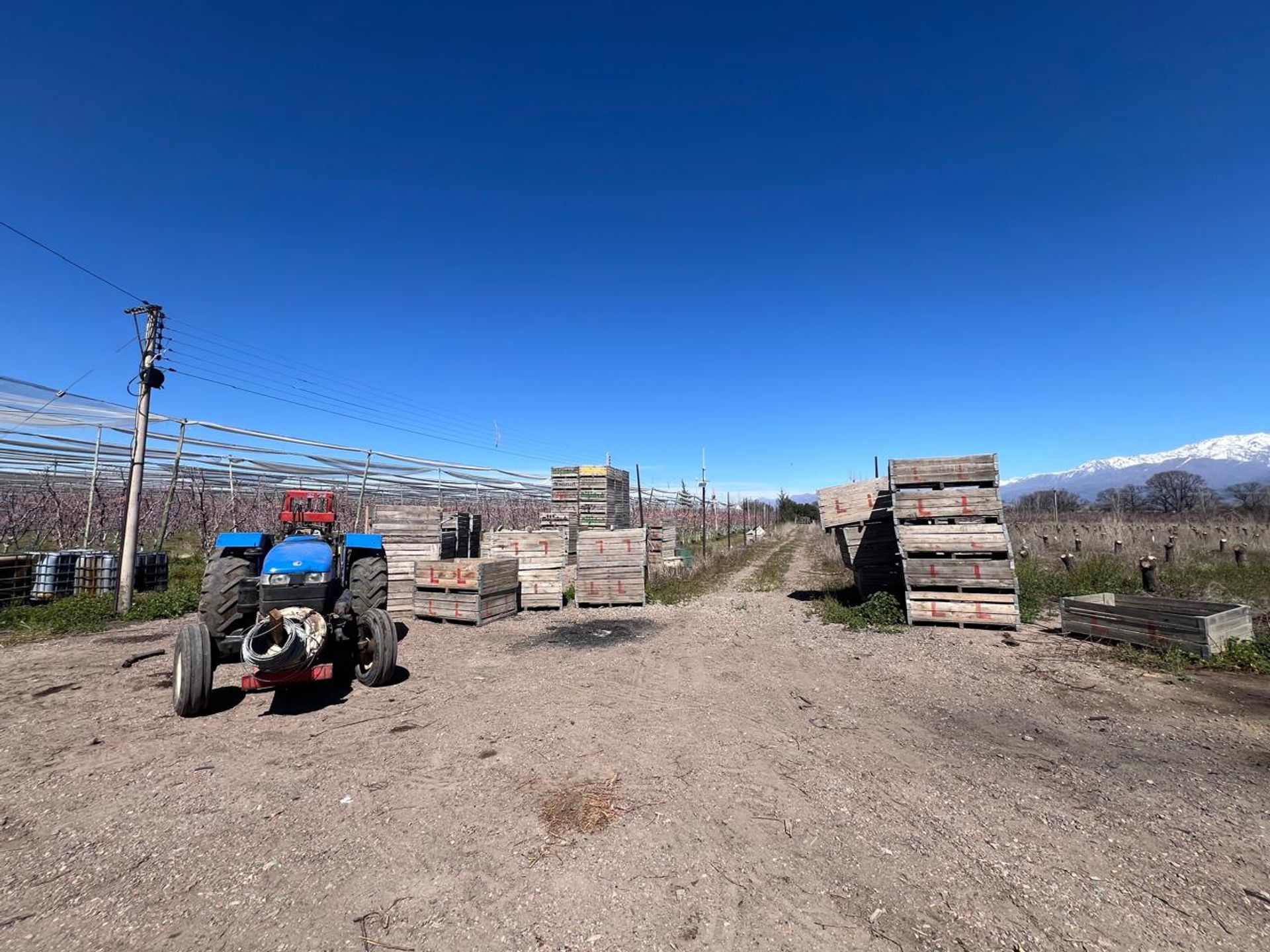 Campo en Venta en Tunuyan, Mendoza - USD 1.000.000 | Inmoup - 13