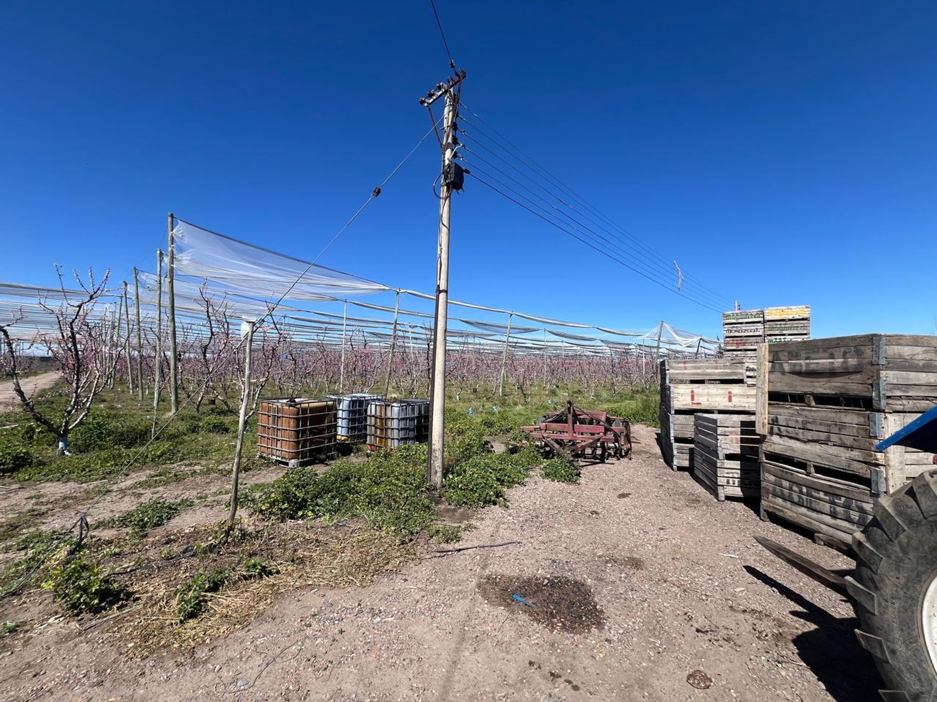 Campo en Venta en Tunuyan, Mendoza - USD 1.000.000 | Inmoup - 16