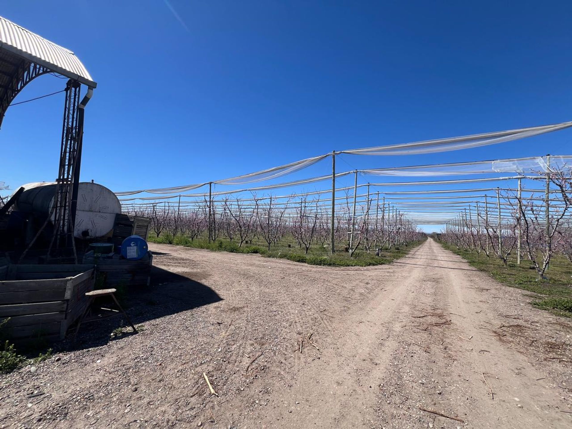 Campo en Venta en Tunuyan, Mendoza - USD 1.000.000 | Inmoup - 31