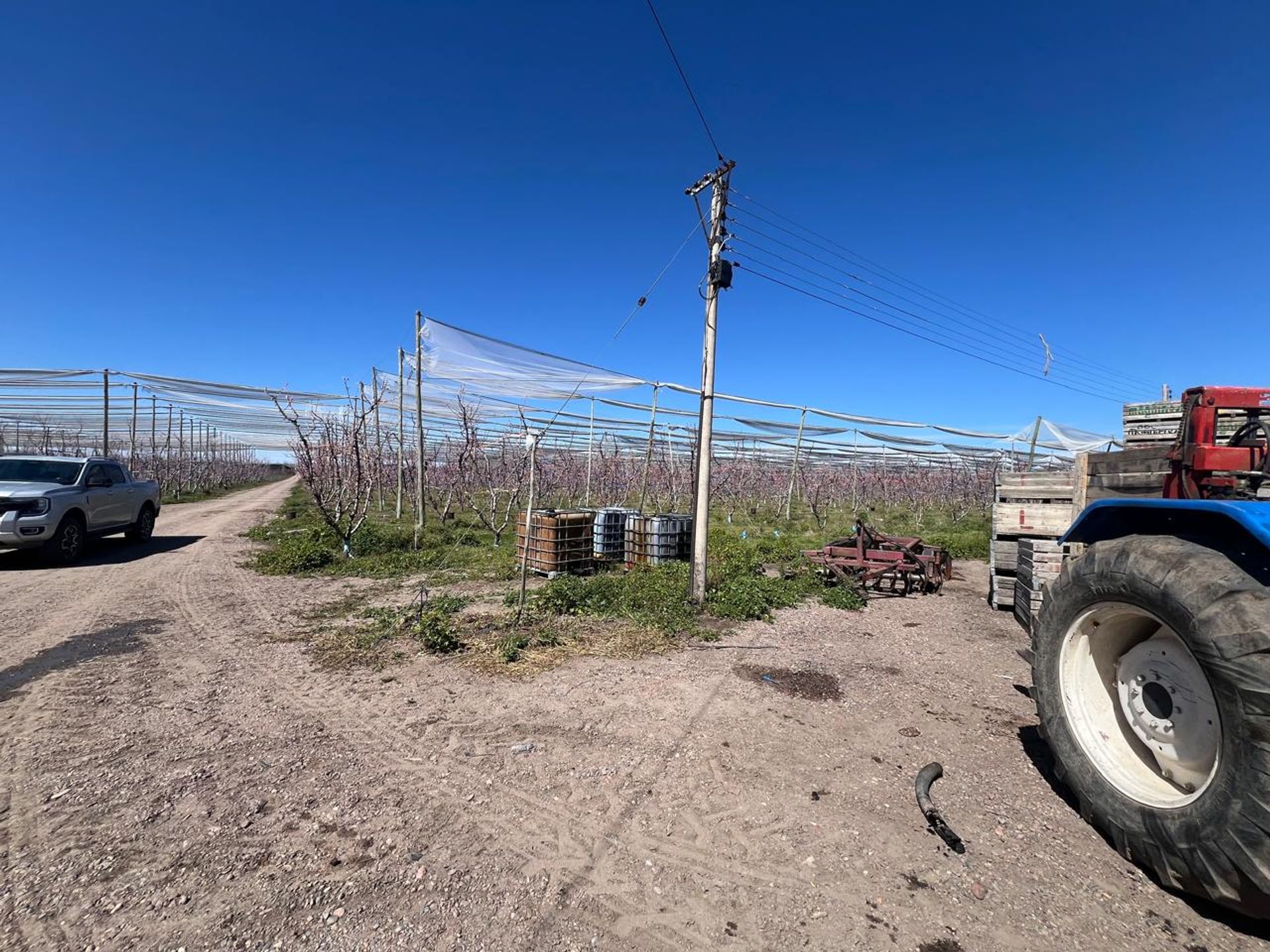 Campo en Venta en Tunuyan, Mendoza - USD 1.000.000 | Inmoup - 14
