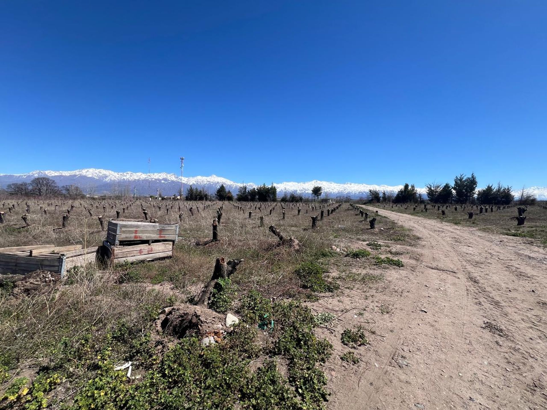 Campo en Venta en Tunuyan, Mendoza - USD 1.000.000 | Inmoup - 6