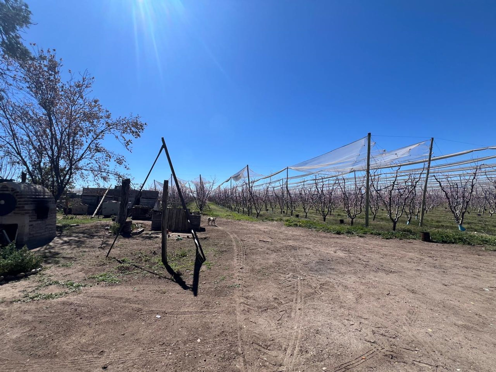 Campo en Venta en Tunuyan, Mendoza - USD 1.000.000 | Inmoup - 28