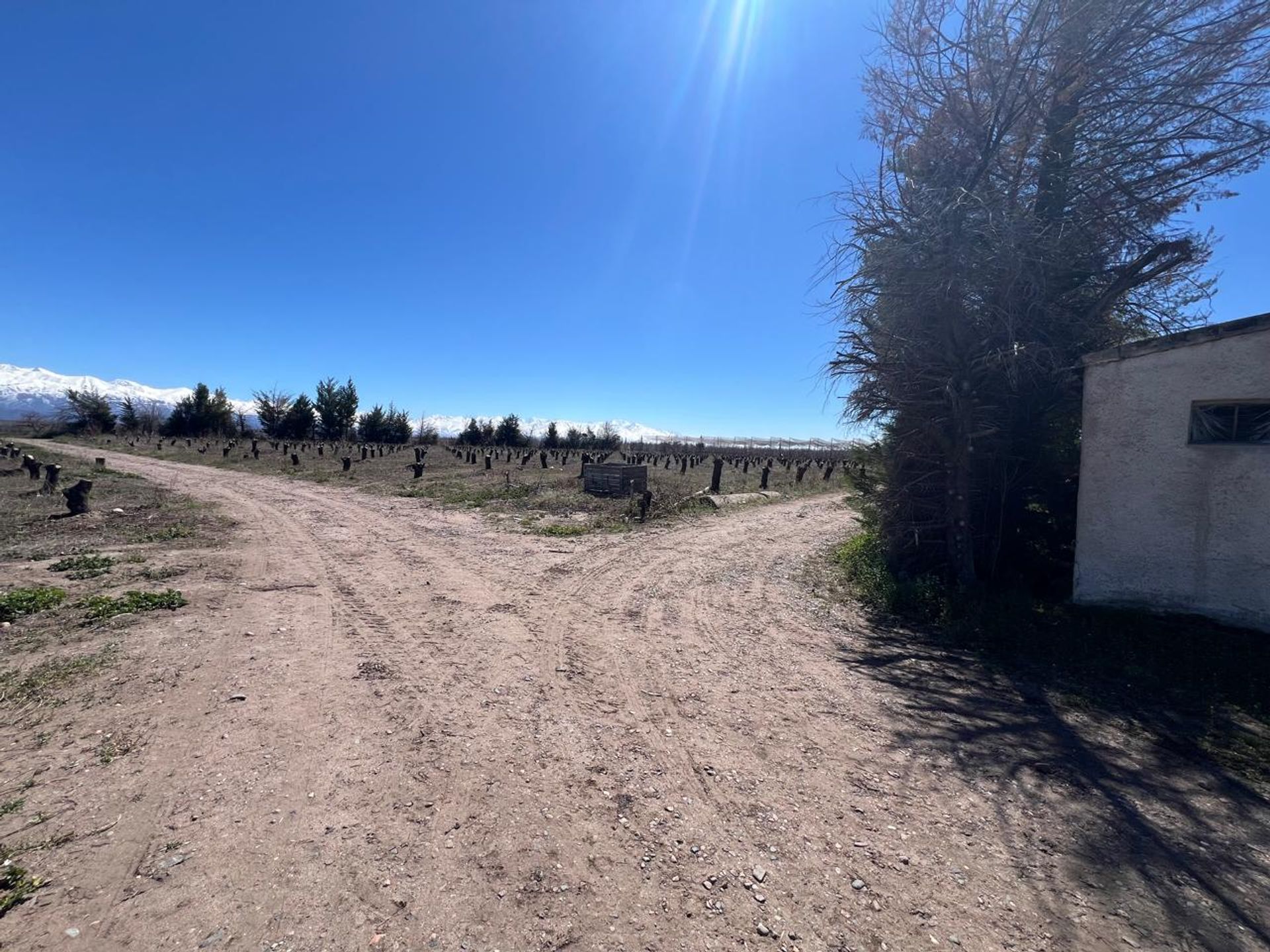 Tunuyan Ruta Provincial 92 0