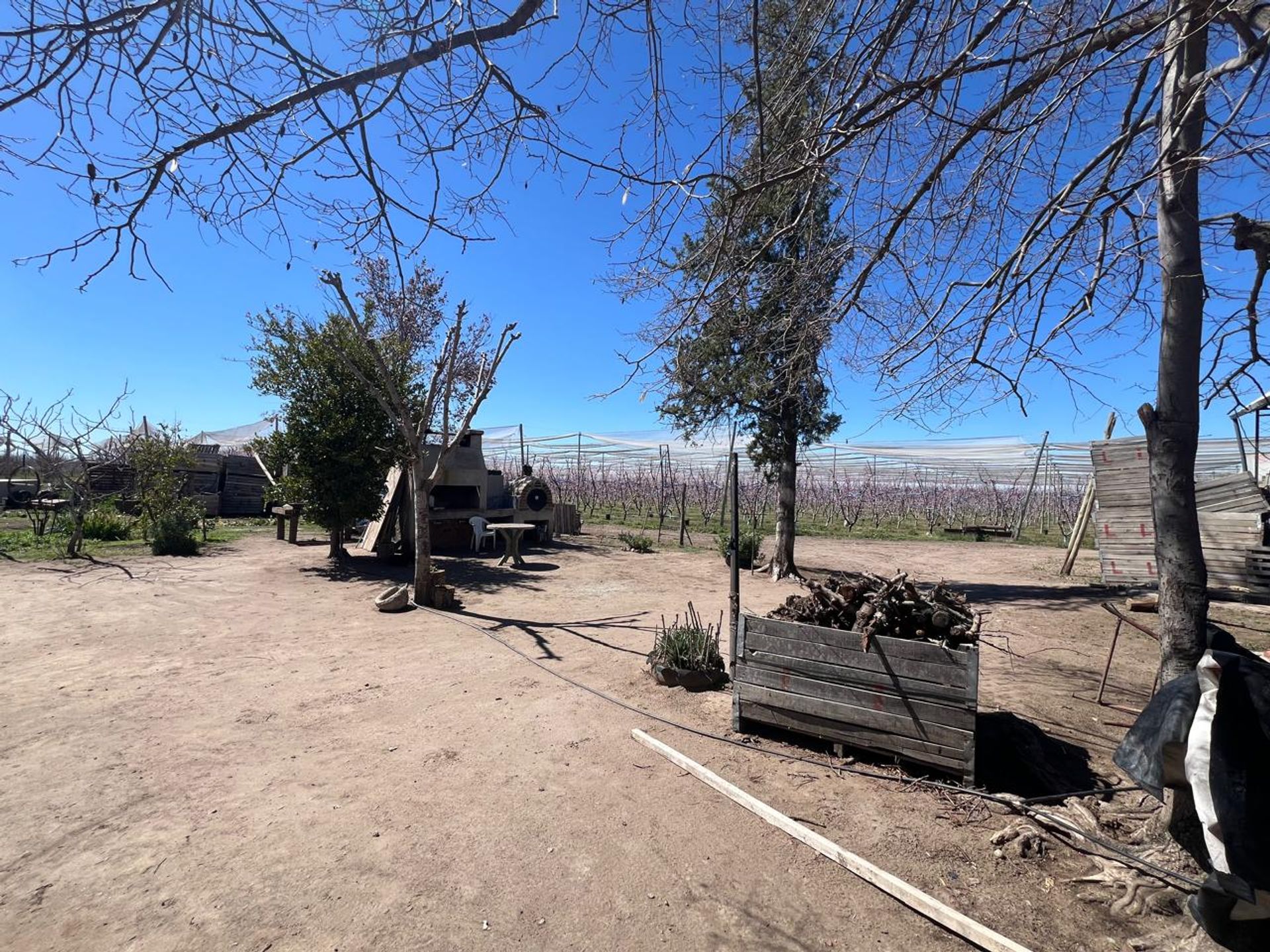 Campo en Venta en Tunuyan, Mendoza - USD 1.000.000 | Inmoup - 22