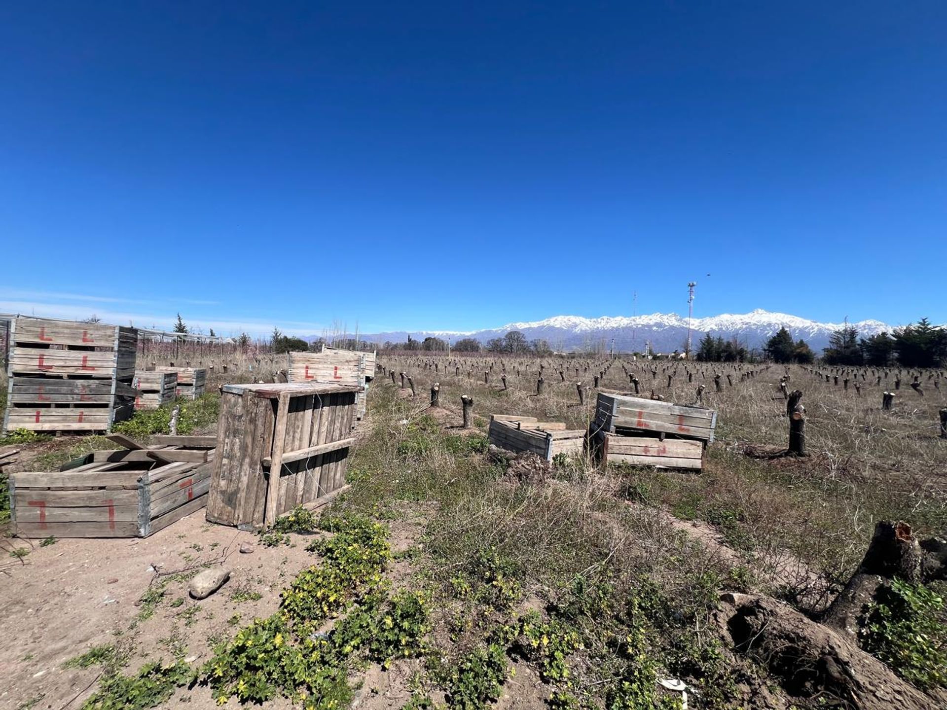Campo en Venta en Tunuyan, Mendoza - USD 1.000.000 | Inmoup - 41