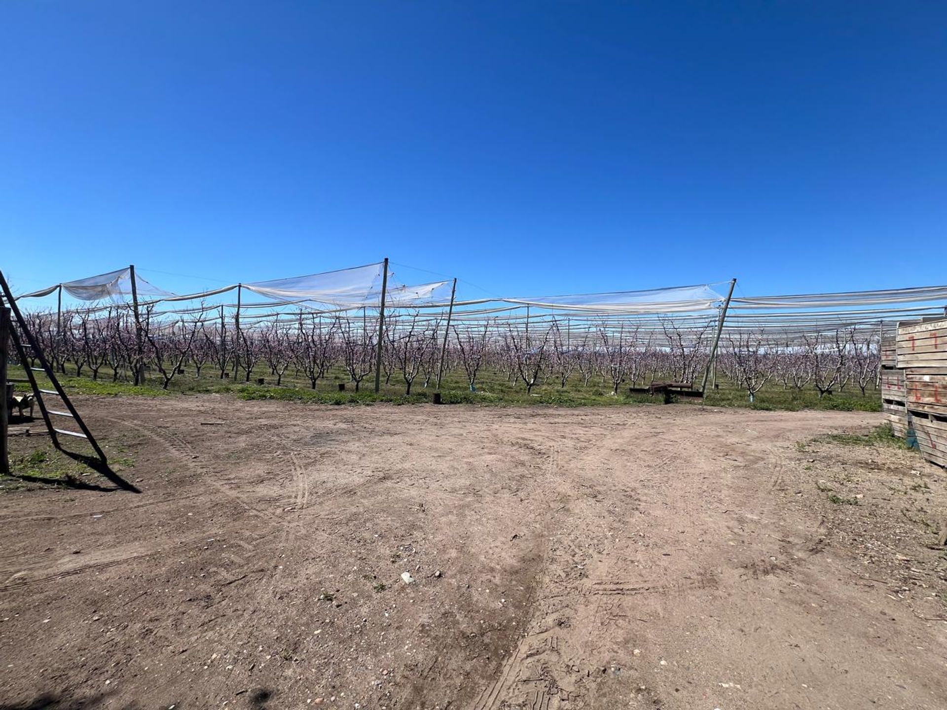 Campo en Venta en Tunuyan, Mendoza - USD 1.000.000 | Inmoup - 23