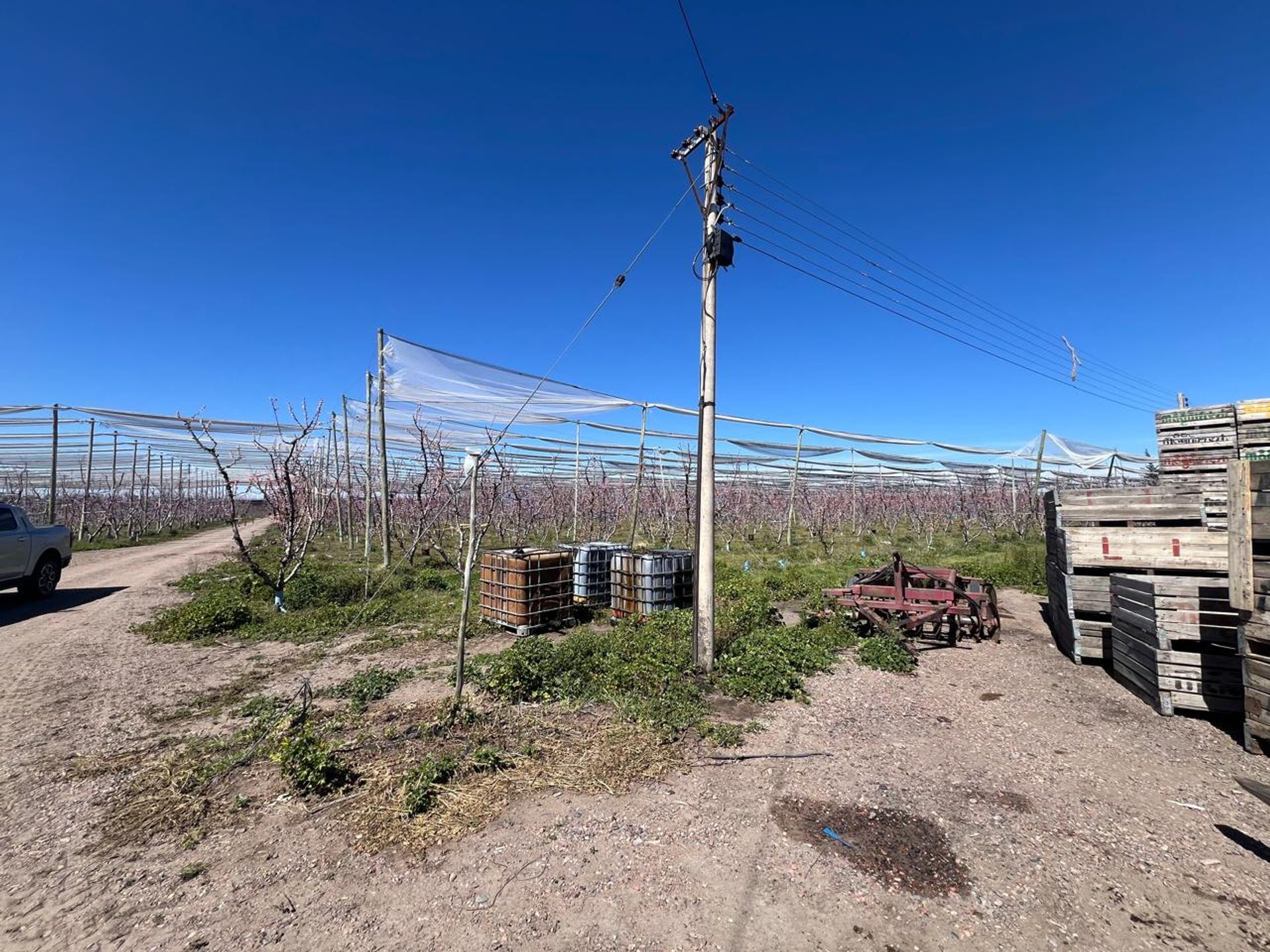 Campo en Venta en Tunuyan, Mendoza - USD 1.000.000 | Inmoup - 17