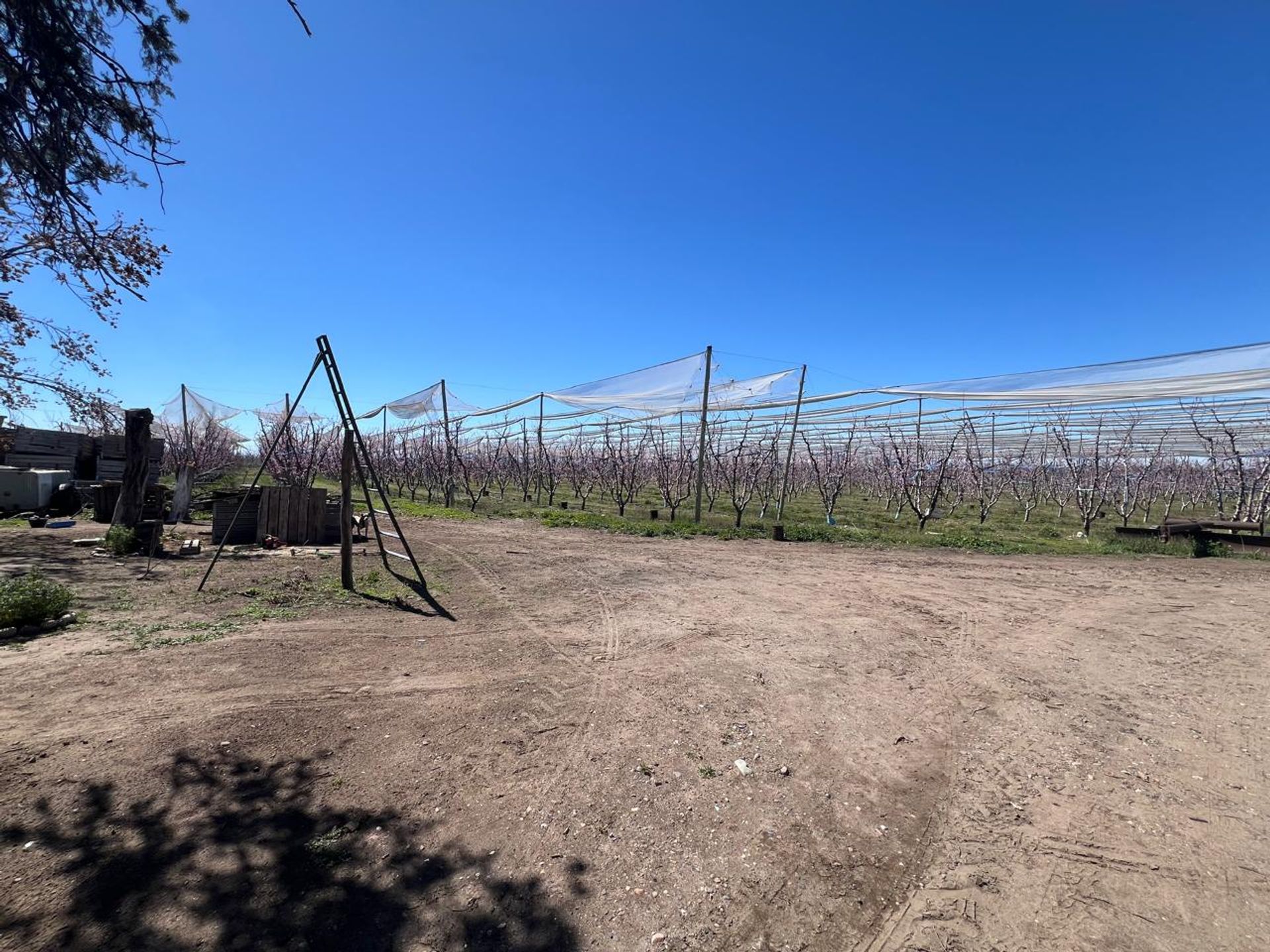 Campo en Venta en Tunuyan, Mendoza - USD 1.000.000 | Inmoup - 24