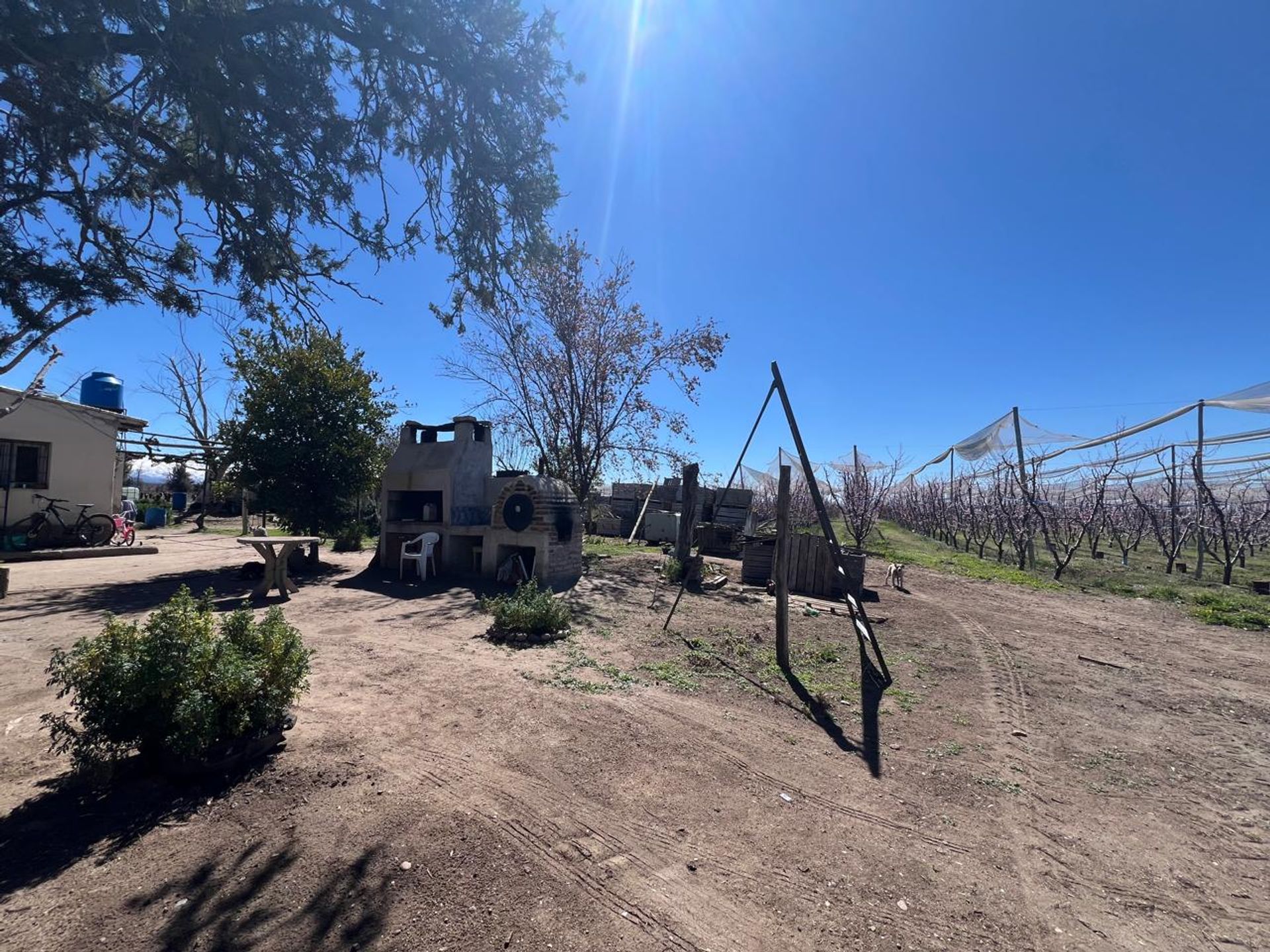 Campo en Venta en Tunuyan, Mendoza - USD 1.000.000 | Inmoup - 29