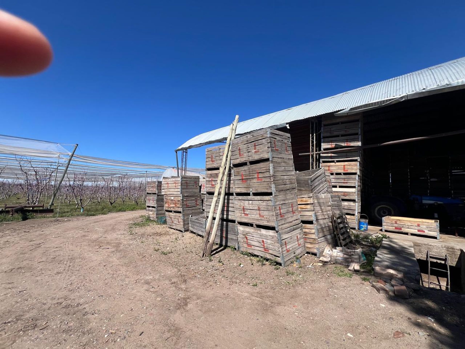 Campo en Venta en Tunuyan, Mendoza - USD 1.000.000 | Inmoup - 26