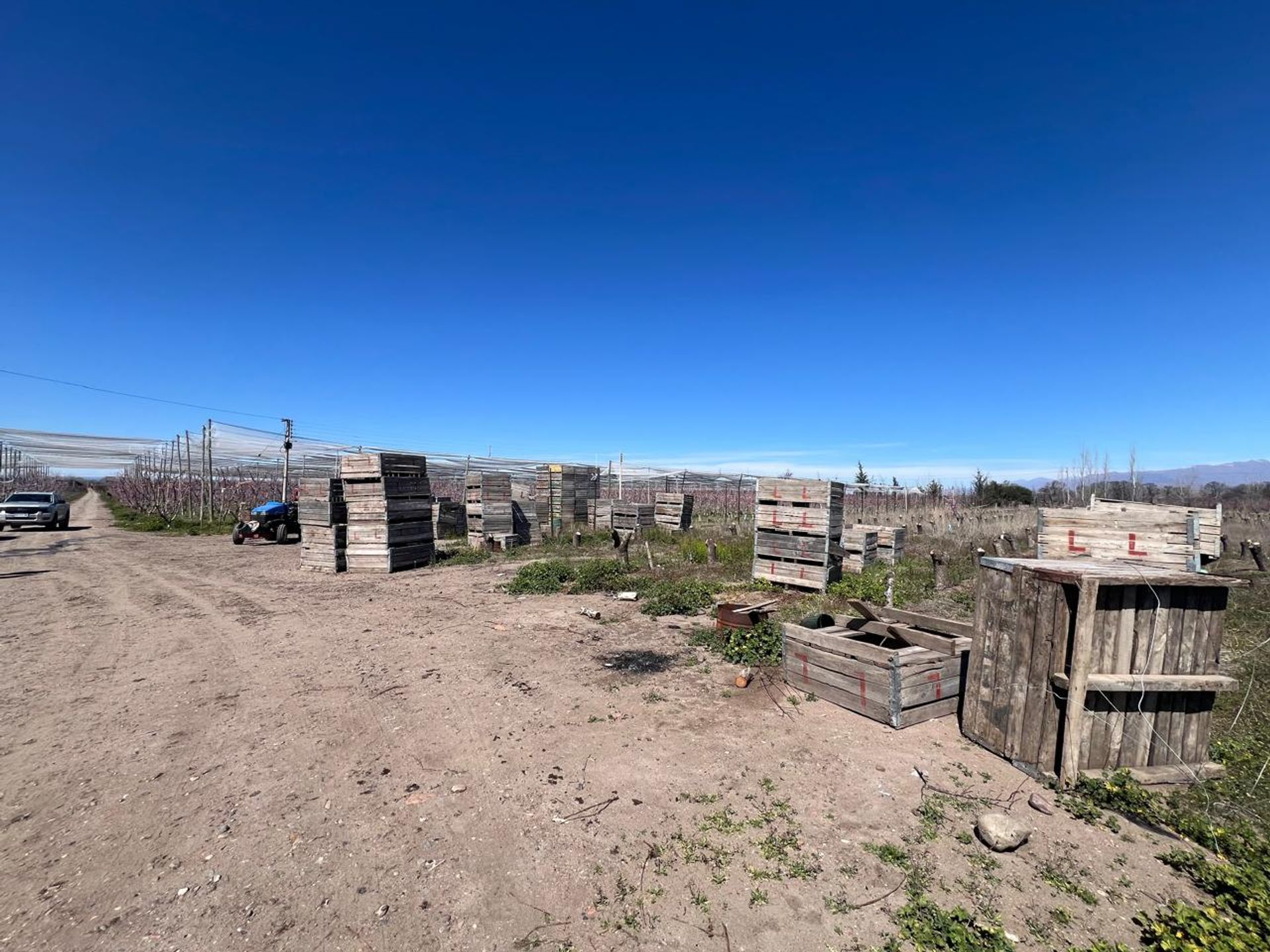 Campo en Venta en Tunuyan, Mendoza - USD 1.000.000 | Inmoup - 7