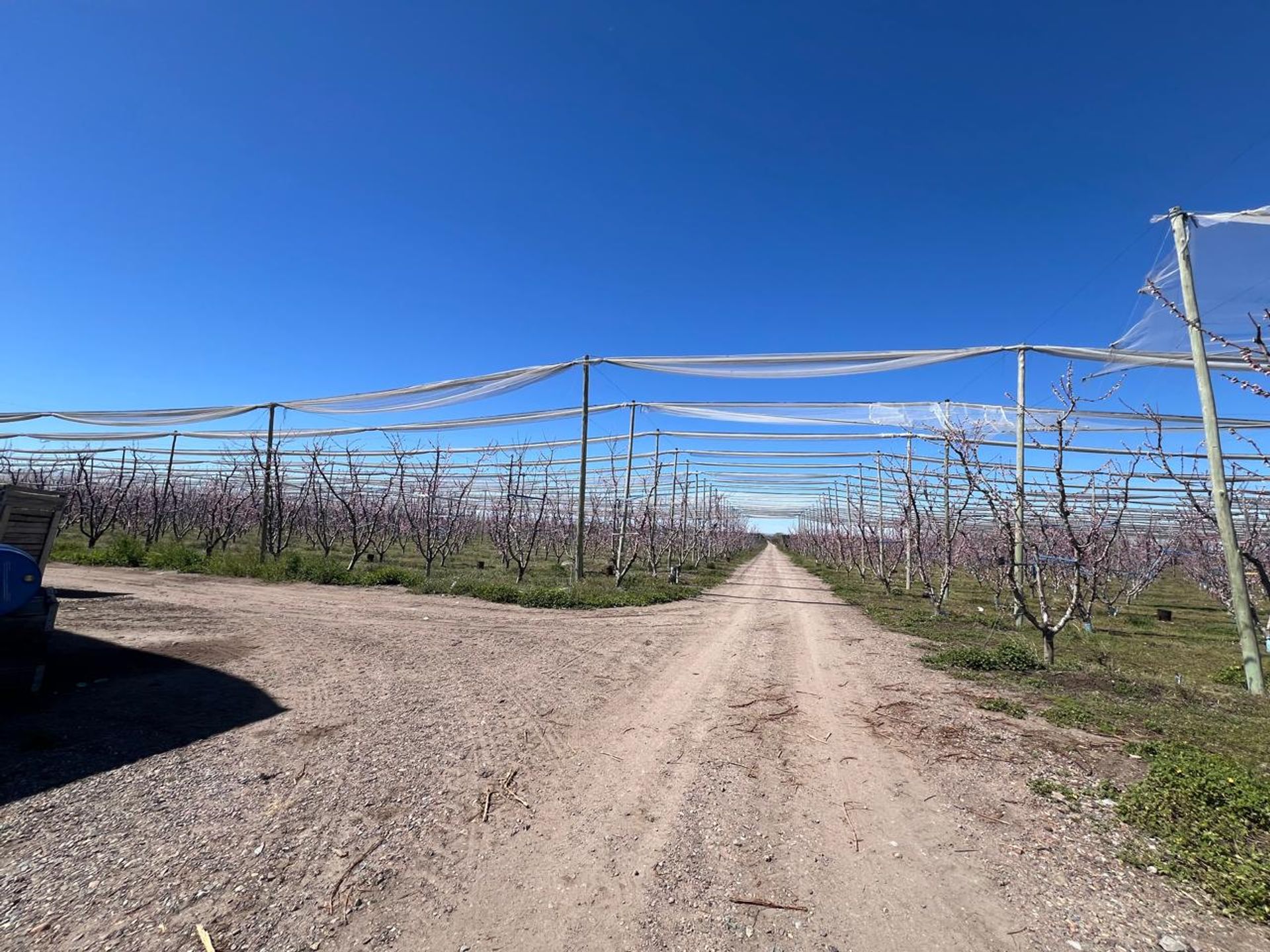 Campo en Venta en Tunuyan, Mendoza - USD 1.000.000 | Inmoup - 32