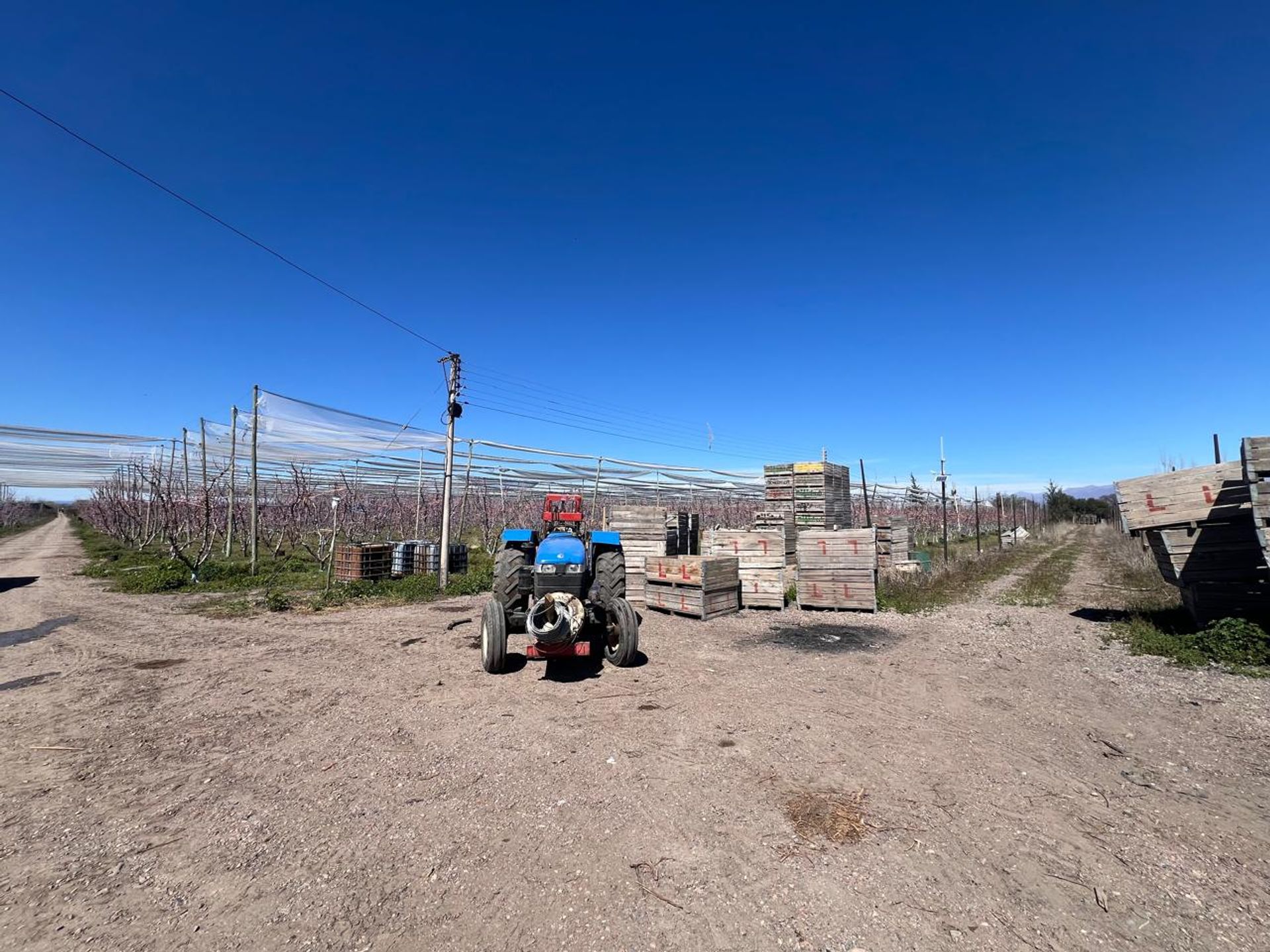 Campo en Venta en Tunuyan, Mendoza - USD 1.000.000 | Inmoup - 11