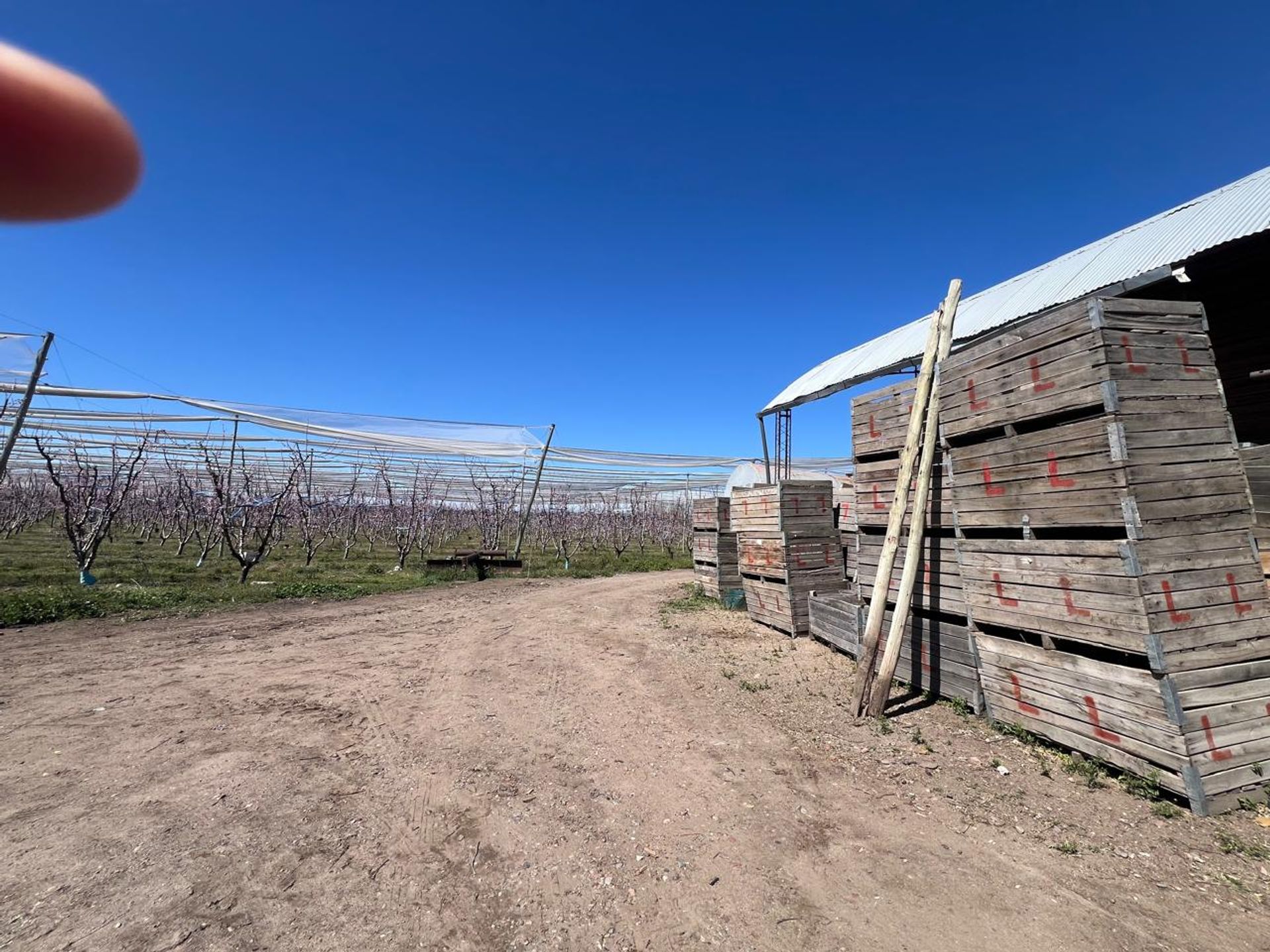 Campo en Venta en Tunuyan, Mendoza - USD 1.000.000 | Inmoup - 27