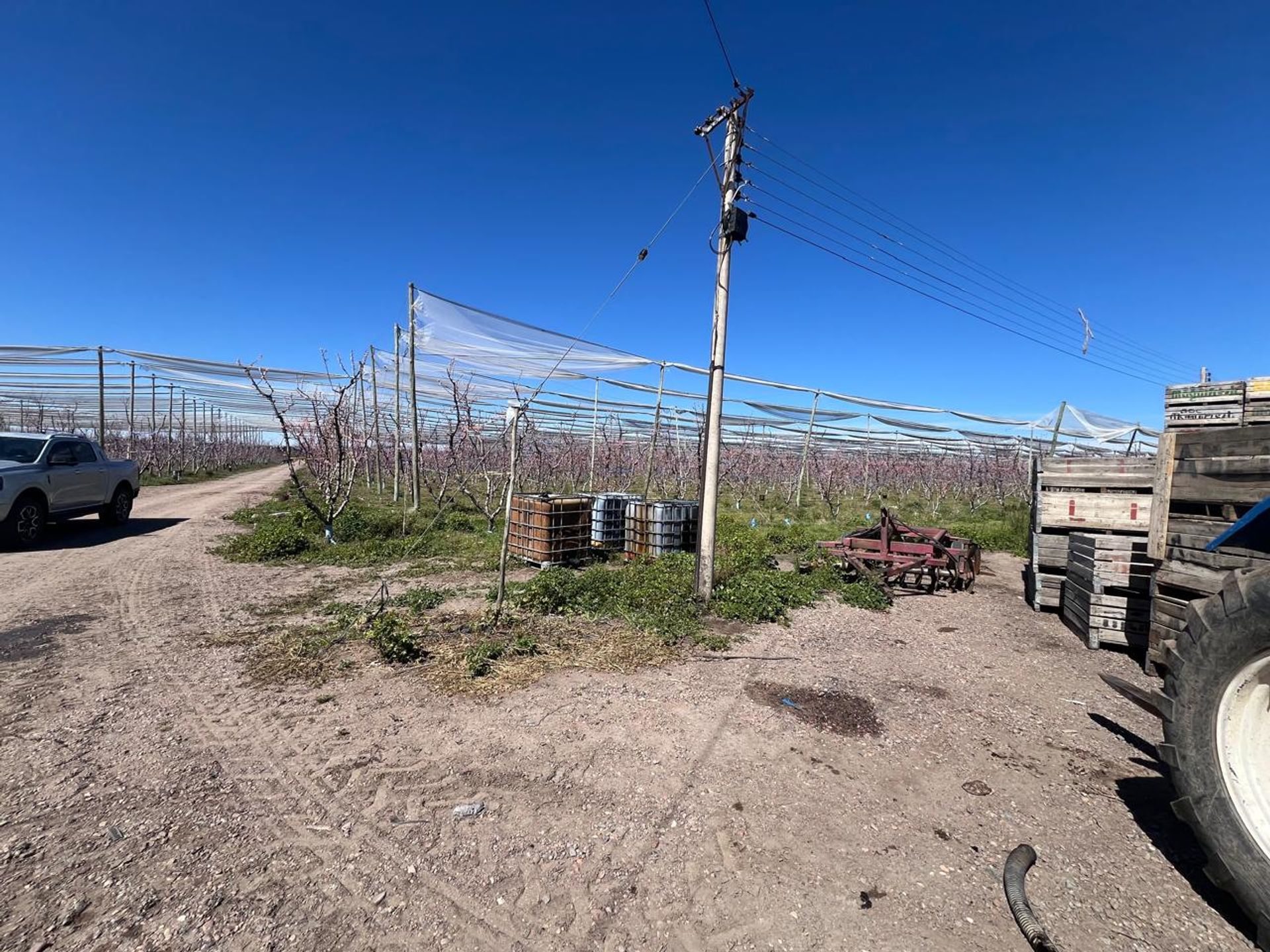 Campo en Venta en Tunuyan, Mendoza - USD 1.000.000 | Inmoup - 15