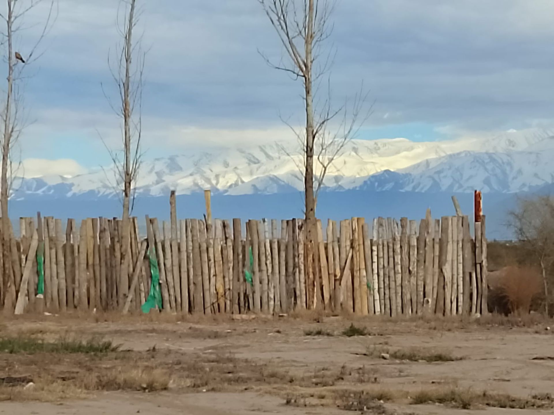 Galpon en Alquiler en Lujan de Cuyo, Mendoza