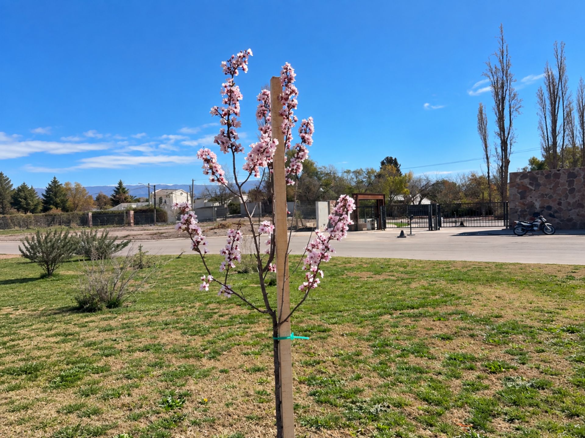 Lote en Venta en Lujan de Cuyo, Mendoza