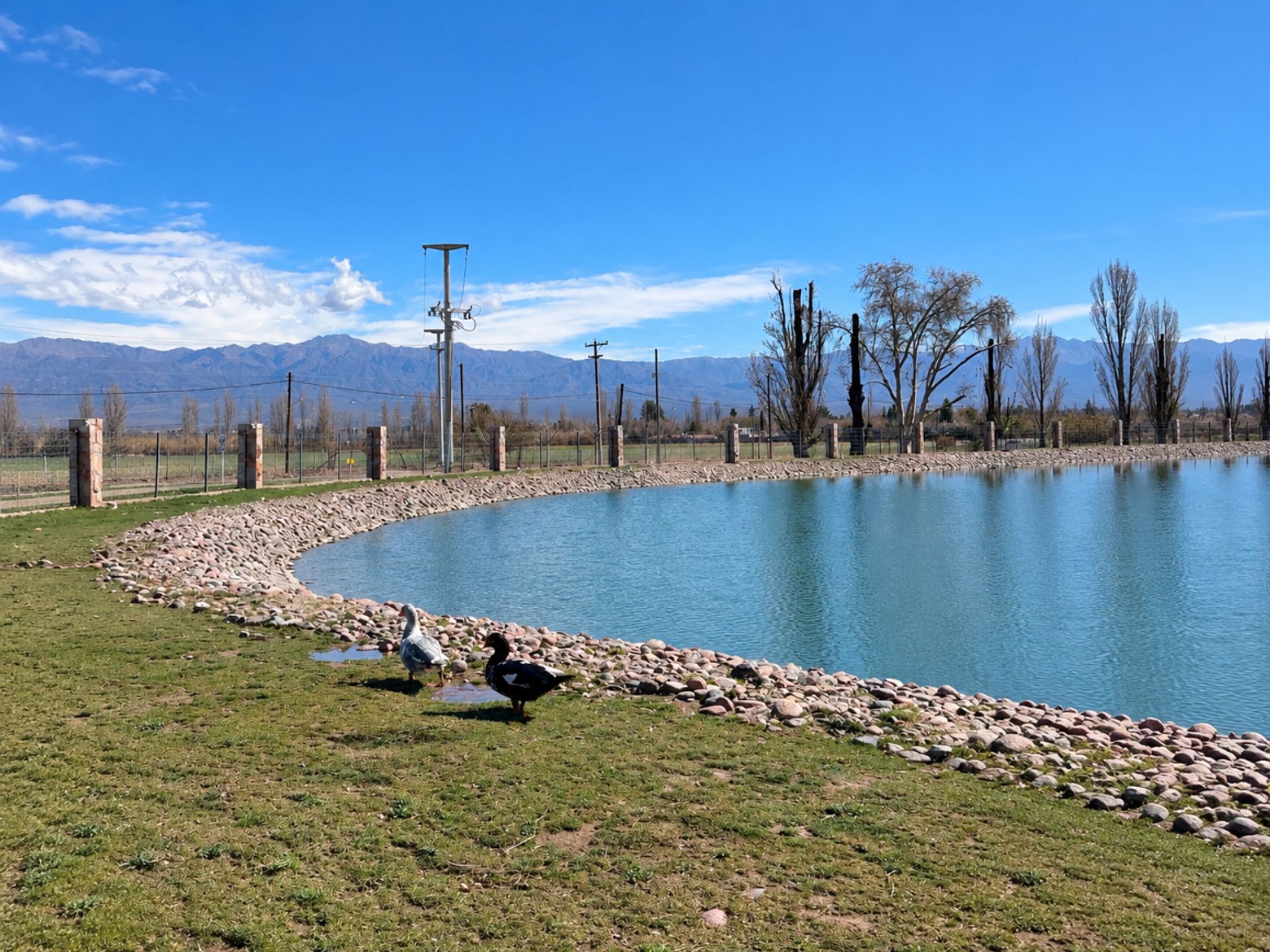 Lote en Venta en Lujan de Cuyo, Mendoza