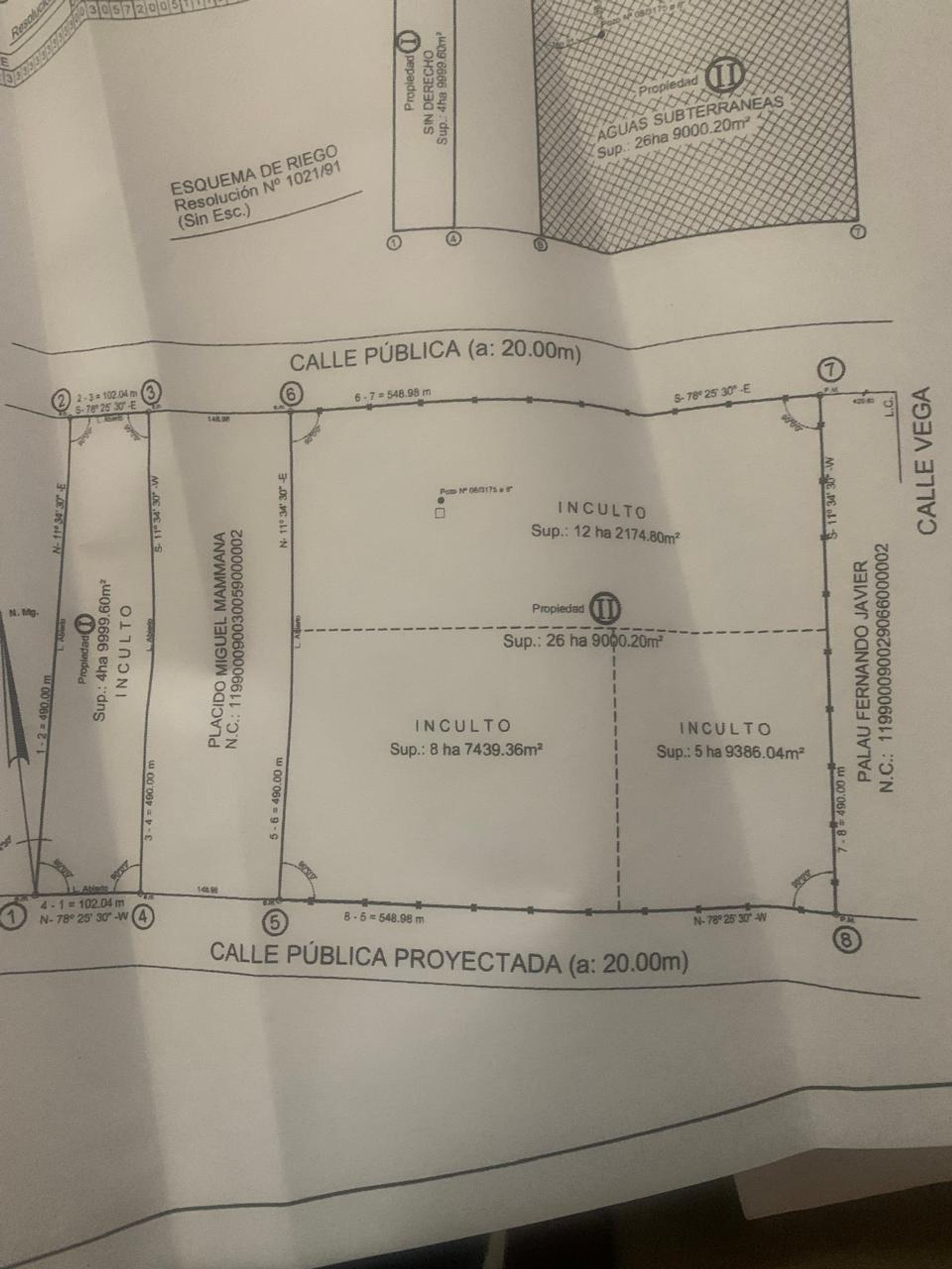 Campo en Venta en San Martin, Mendoza