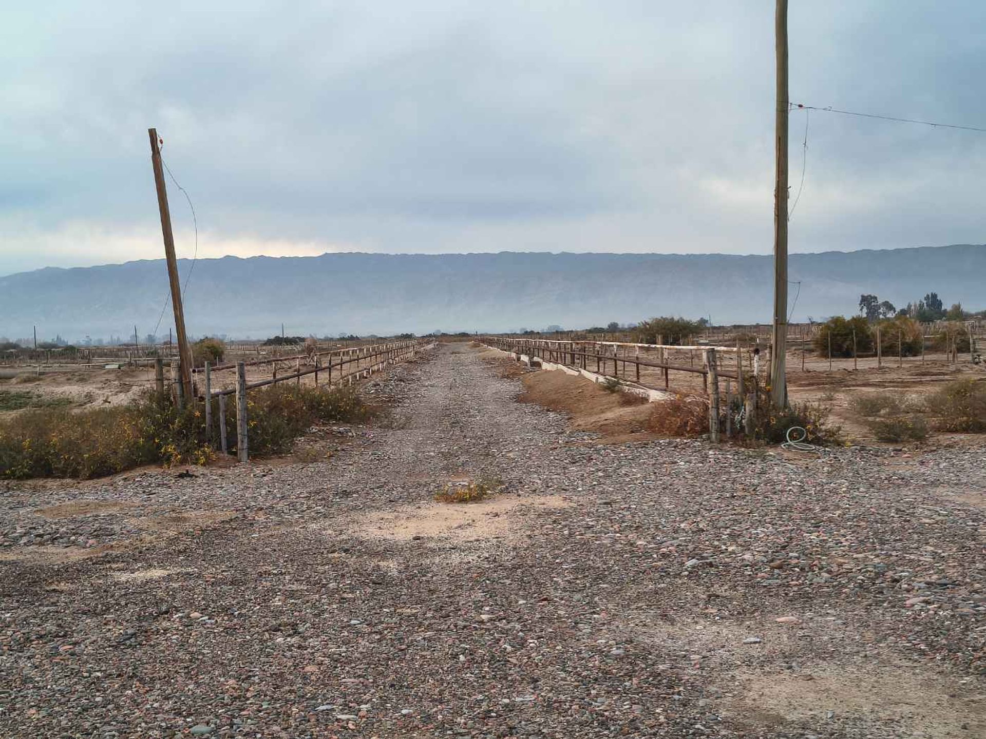 Campo en Venta en Angaco, San Juan
