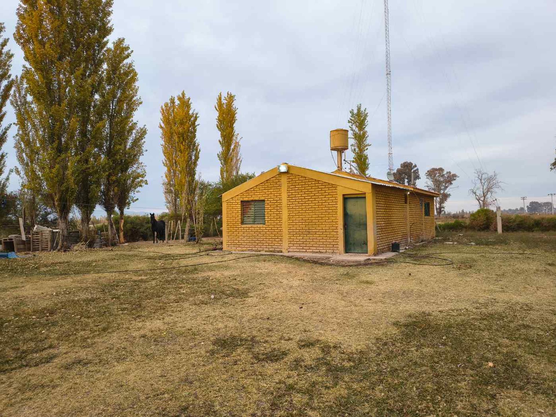 Campo en Venta en Angaco, San Juan