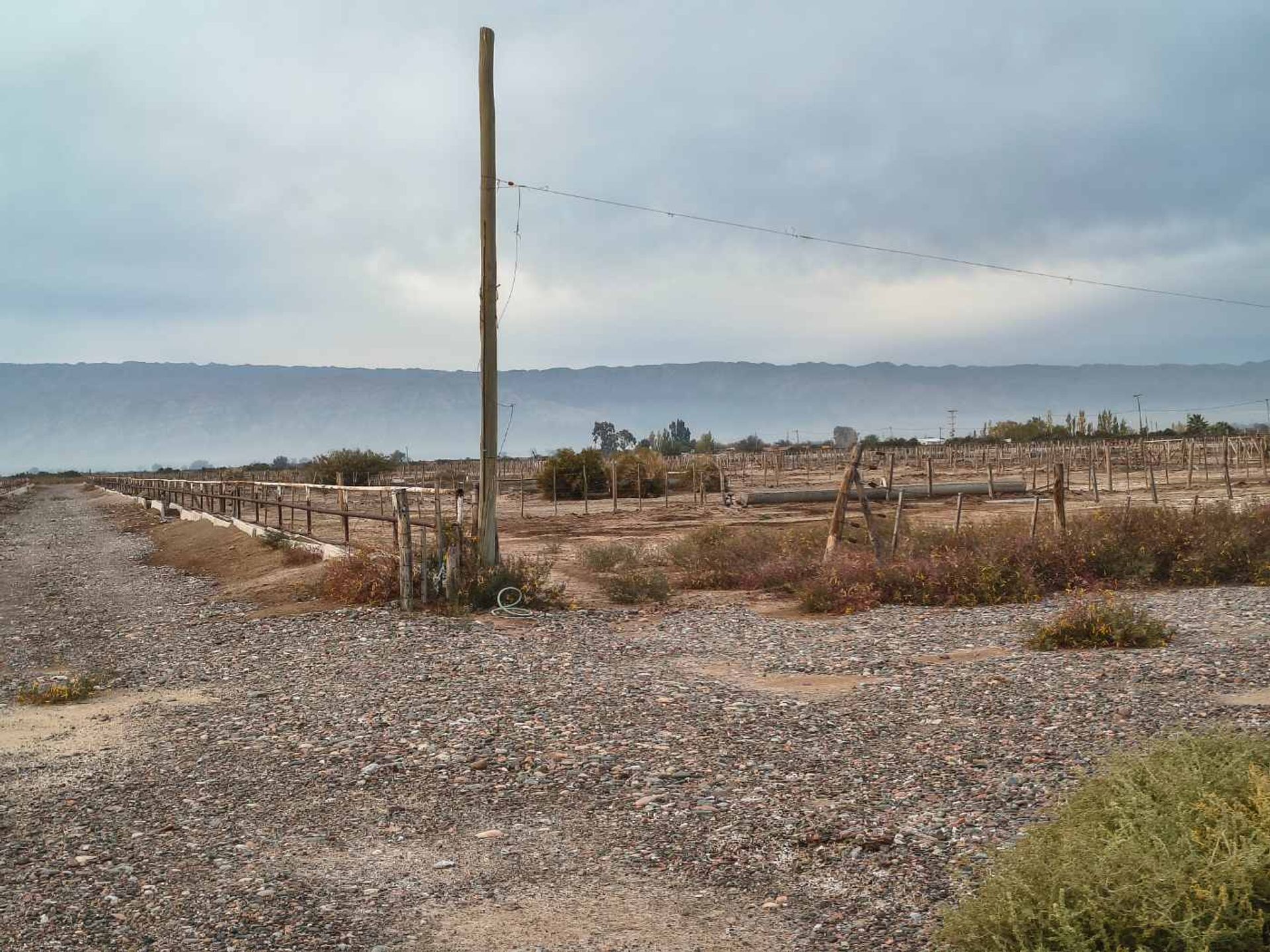 Campo en Venta en Angaco, San Juan