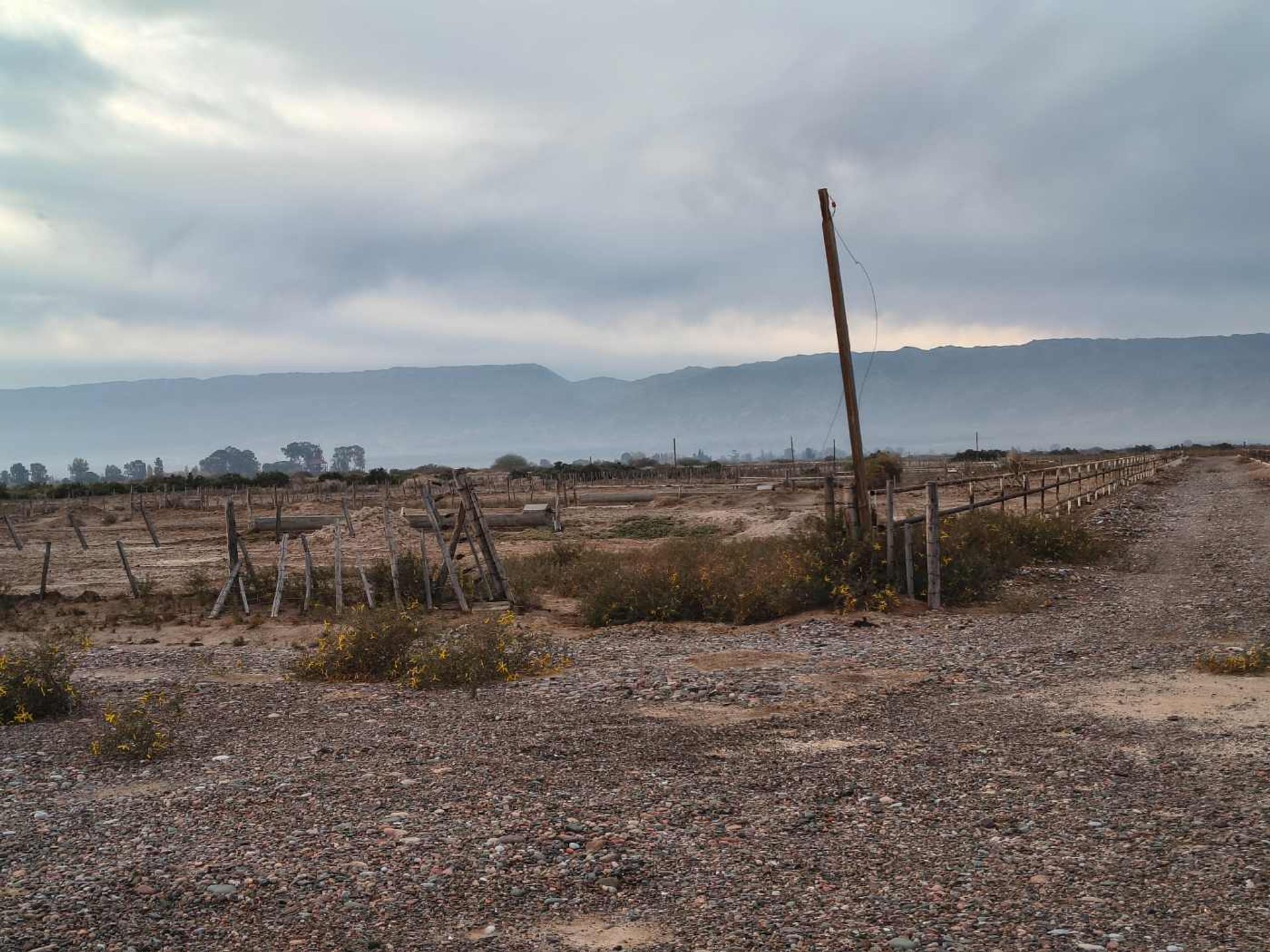 Campo en Venta en Angaco, San Juan